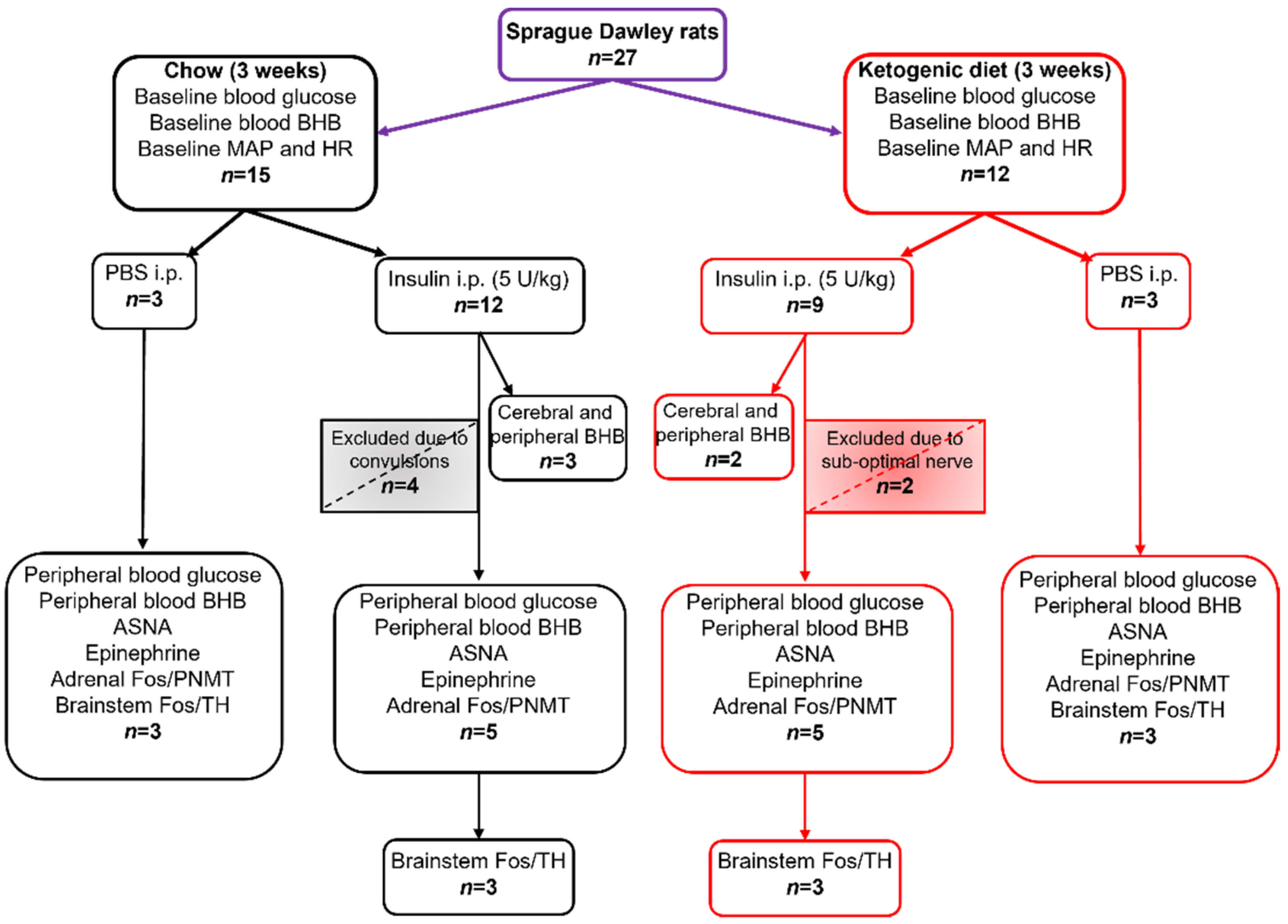 Nutrients 13 02627 g001