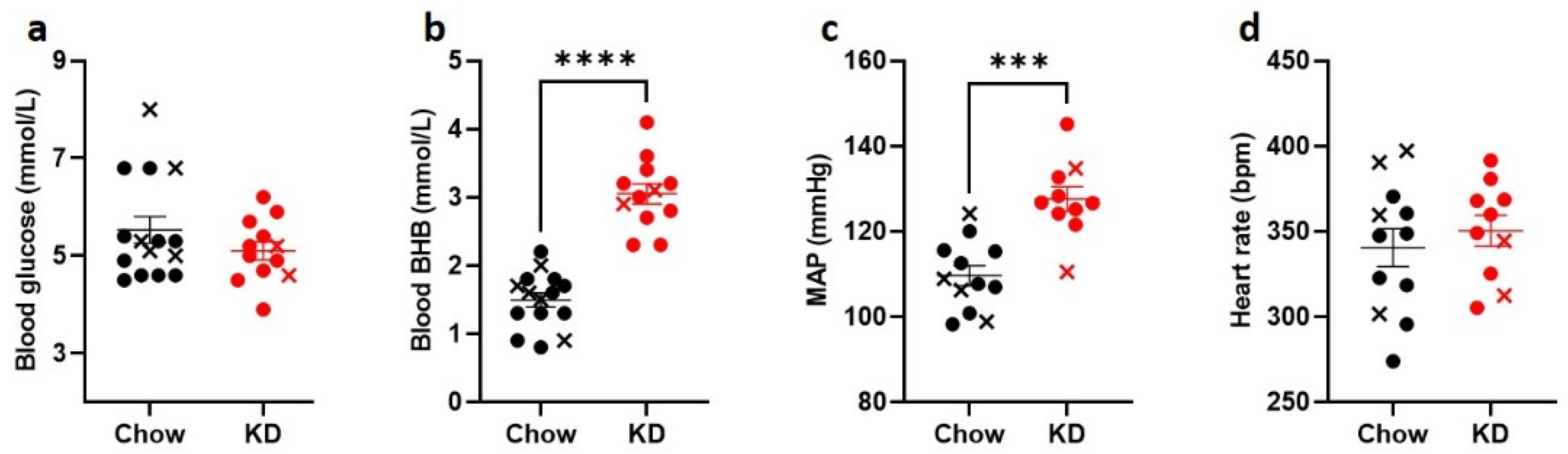 Nutrients 13 02627 g002