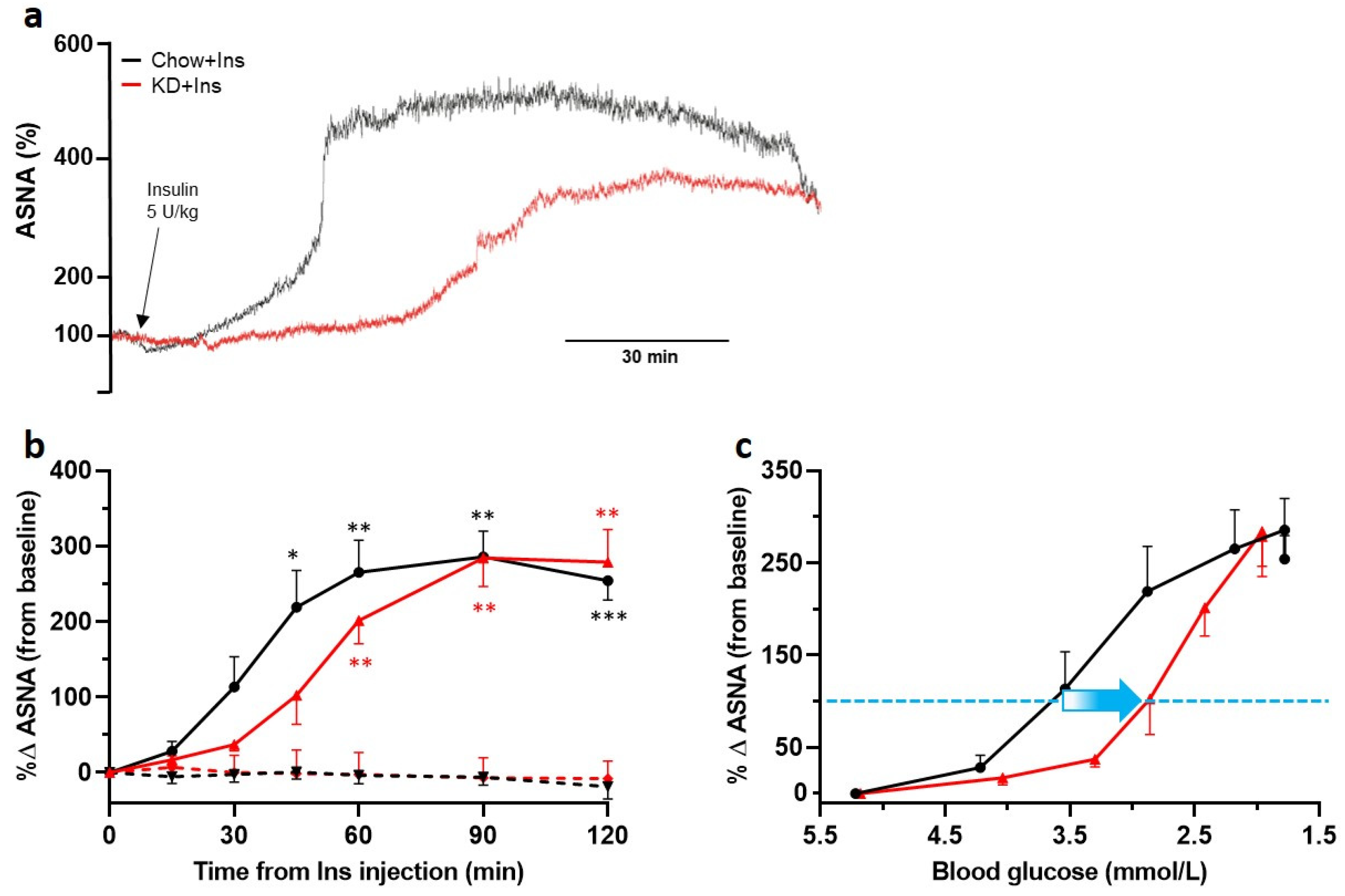 Nutrients 13 02627 g005