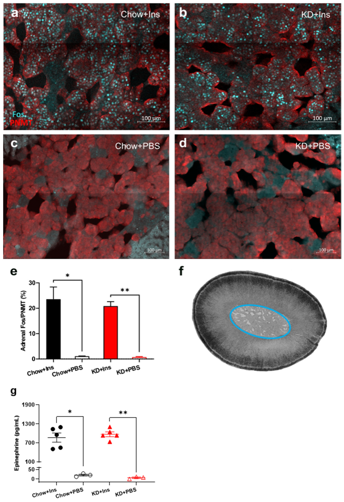 Nutrients 13 02627 g007