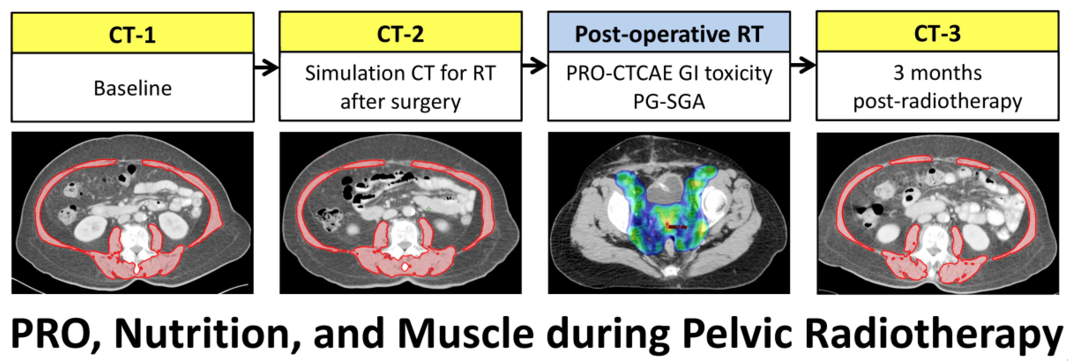 Nutrients 13 02629 g001