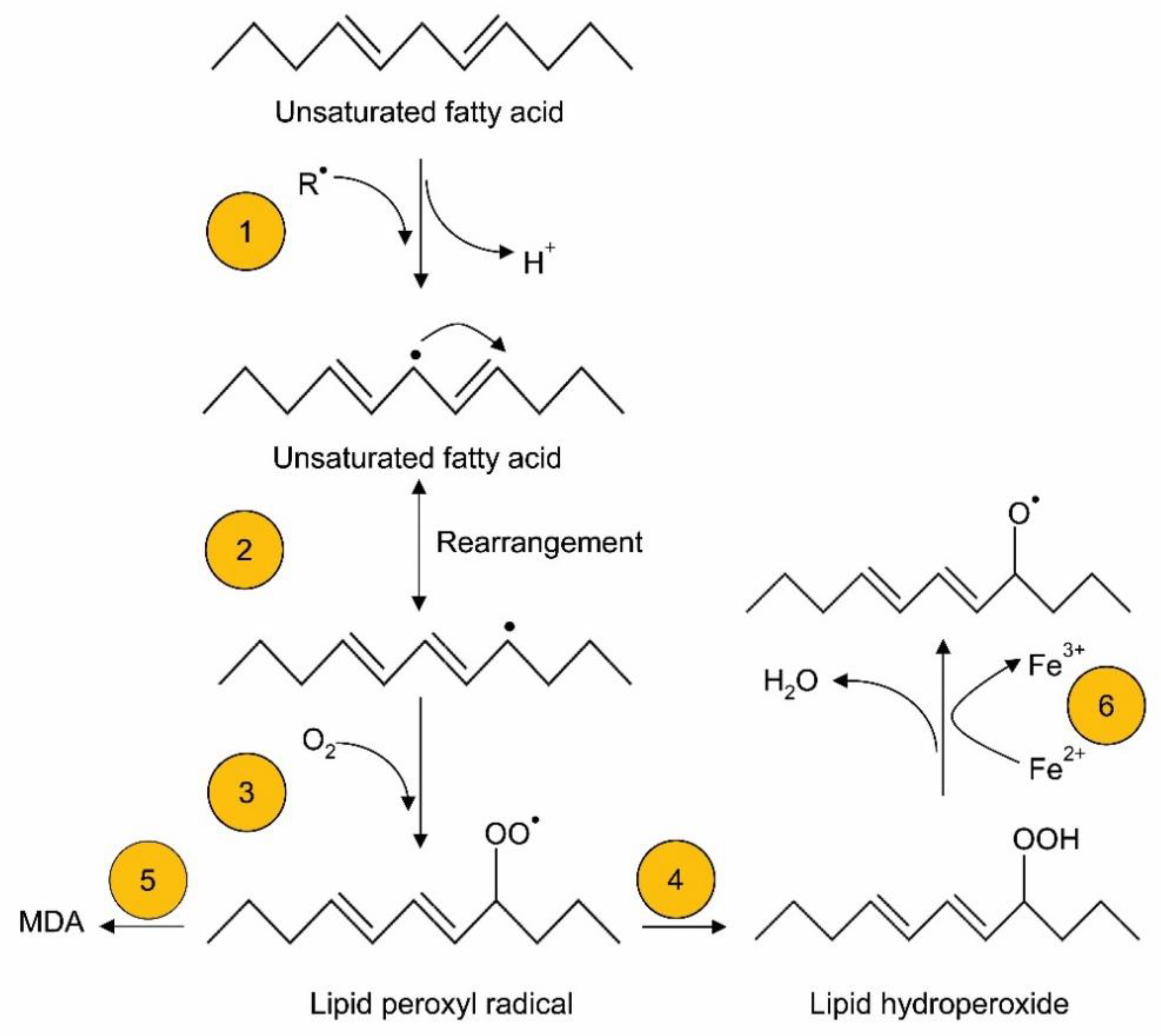 Nutrients 13 02631 g002 Nutrients 13 02631 g002