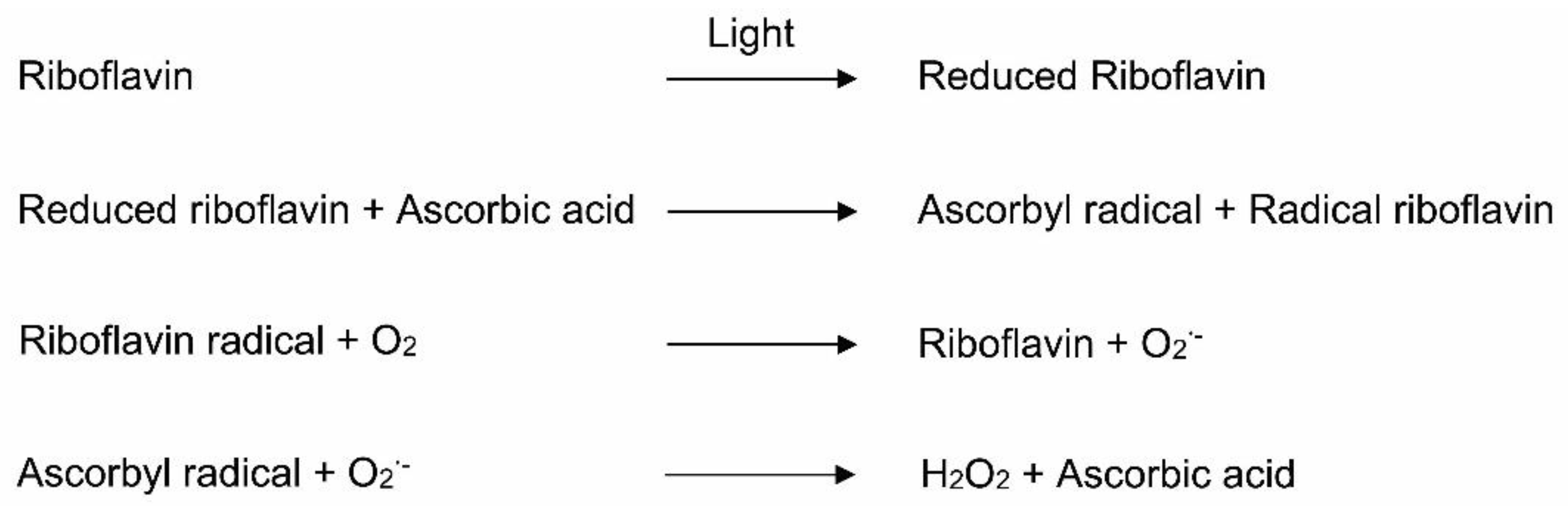 Nutrients 13 02631 g004 Nutrients 13 02631 g004