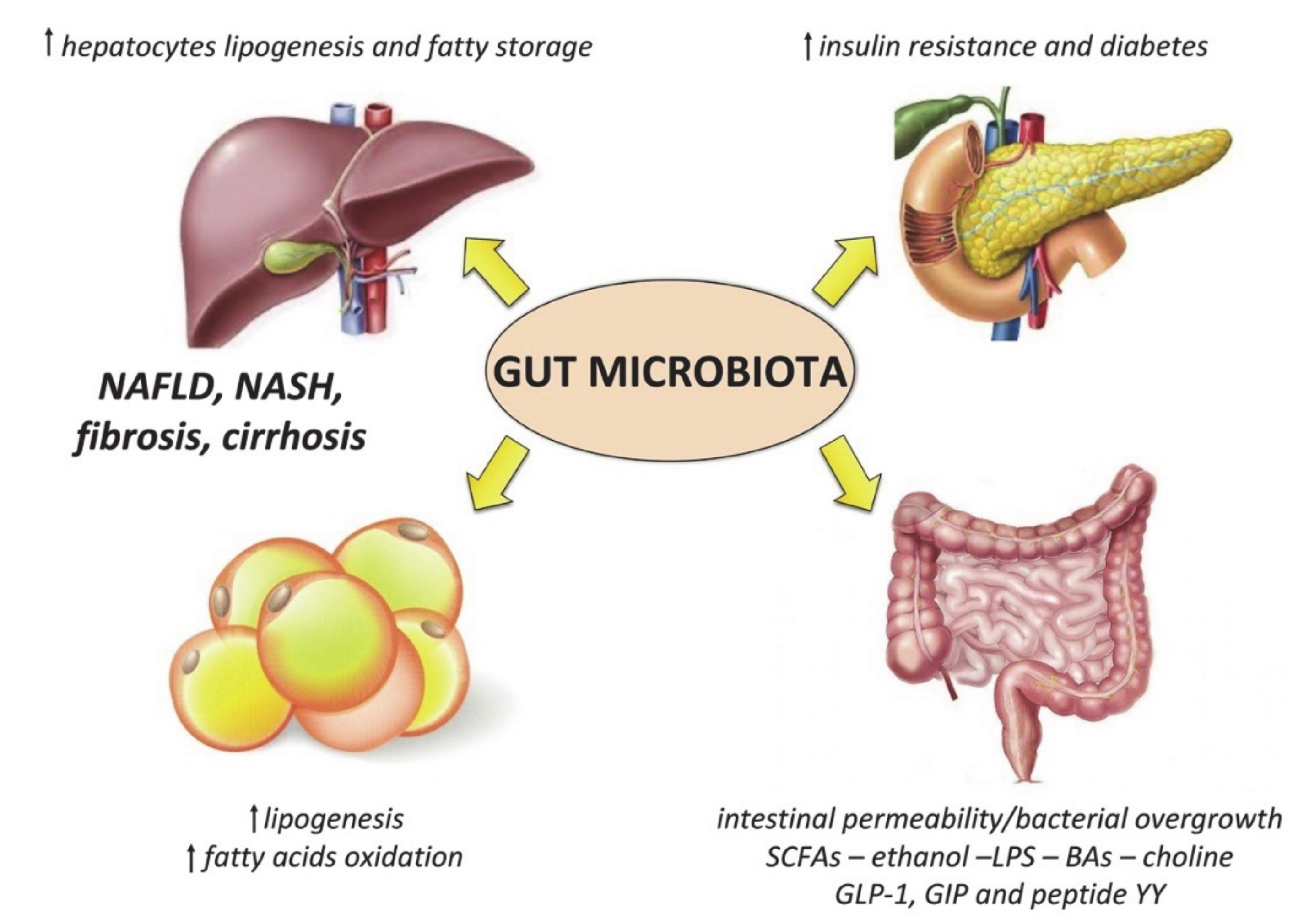 Nutrients 13 02649 g002