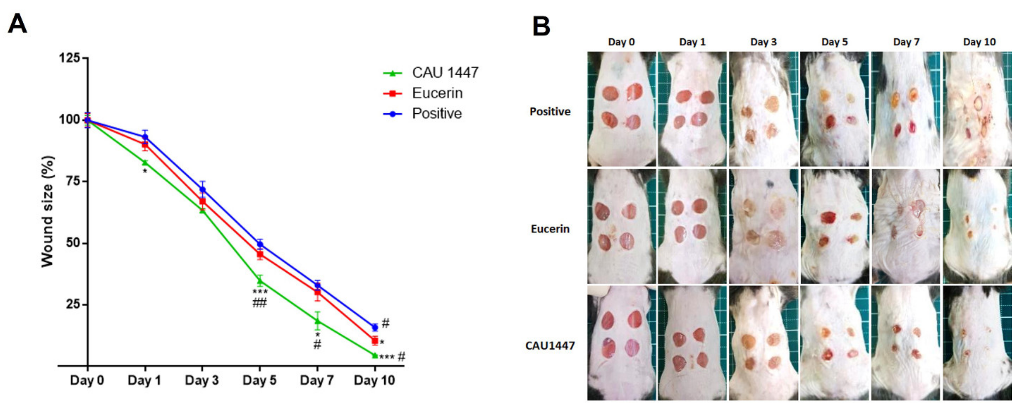 Nutrients 13 02666 g001