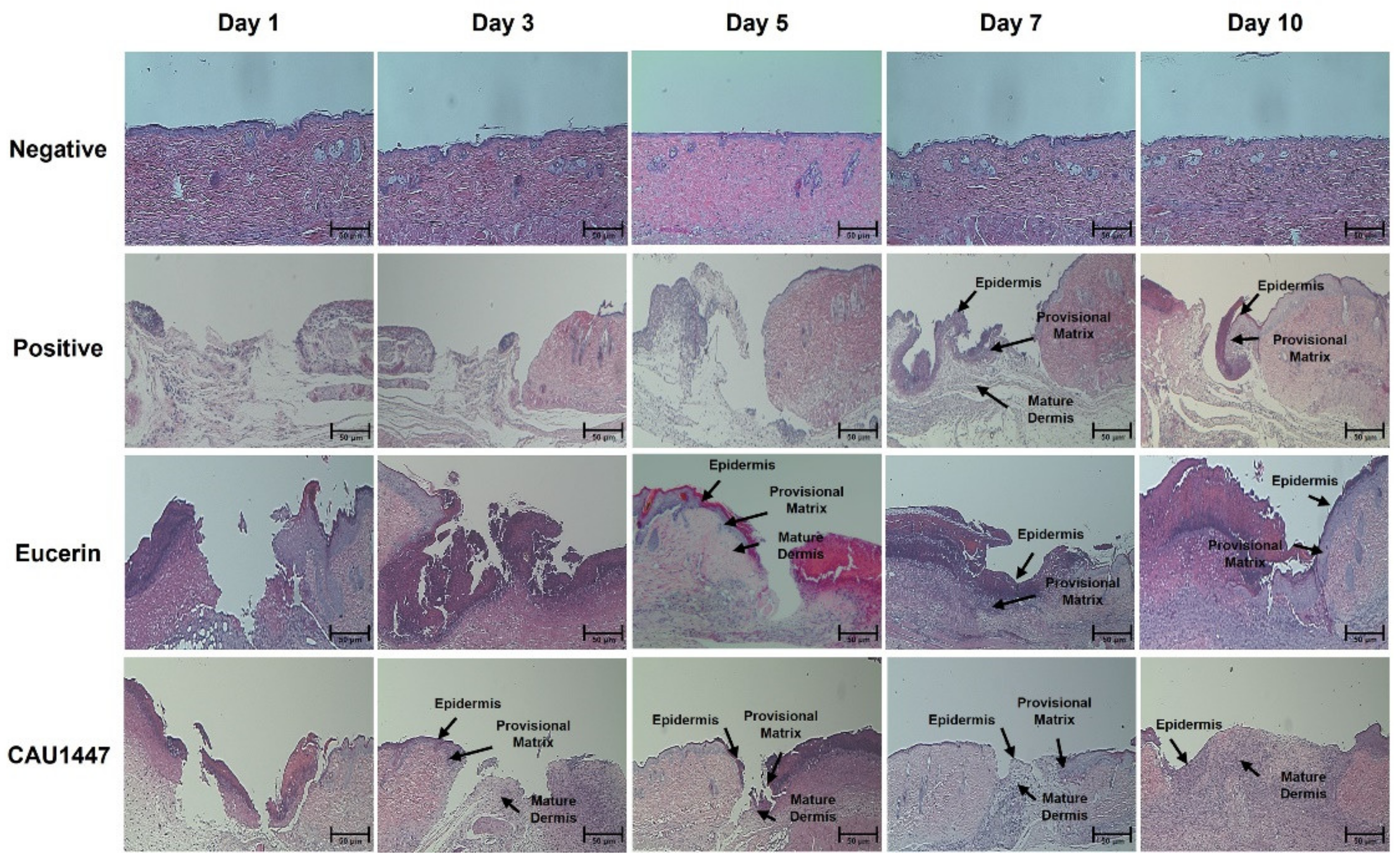 Nutrients 13 02666 g002
