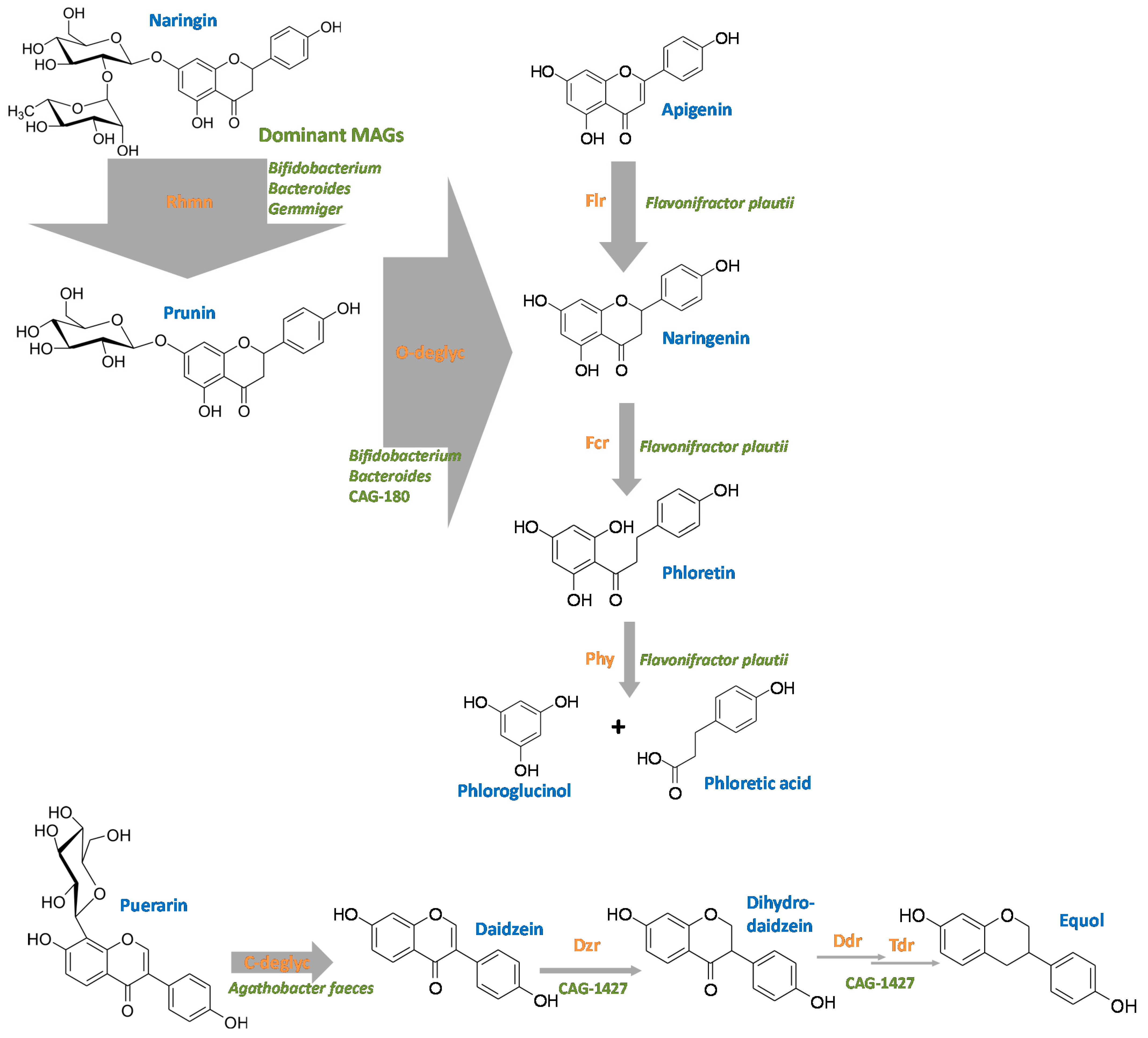 Nutrients 13 02688 g010 Nutrients 13 02688 g010