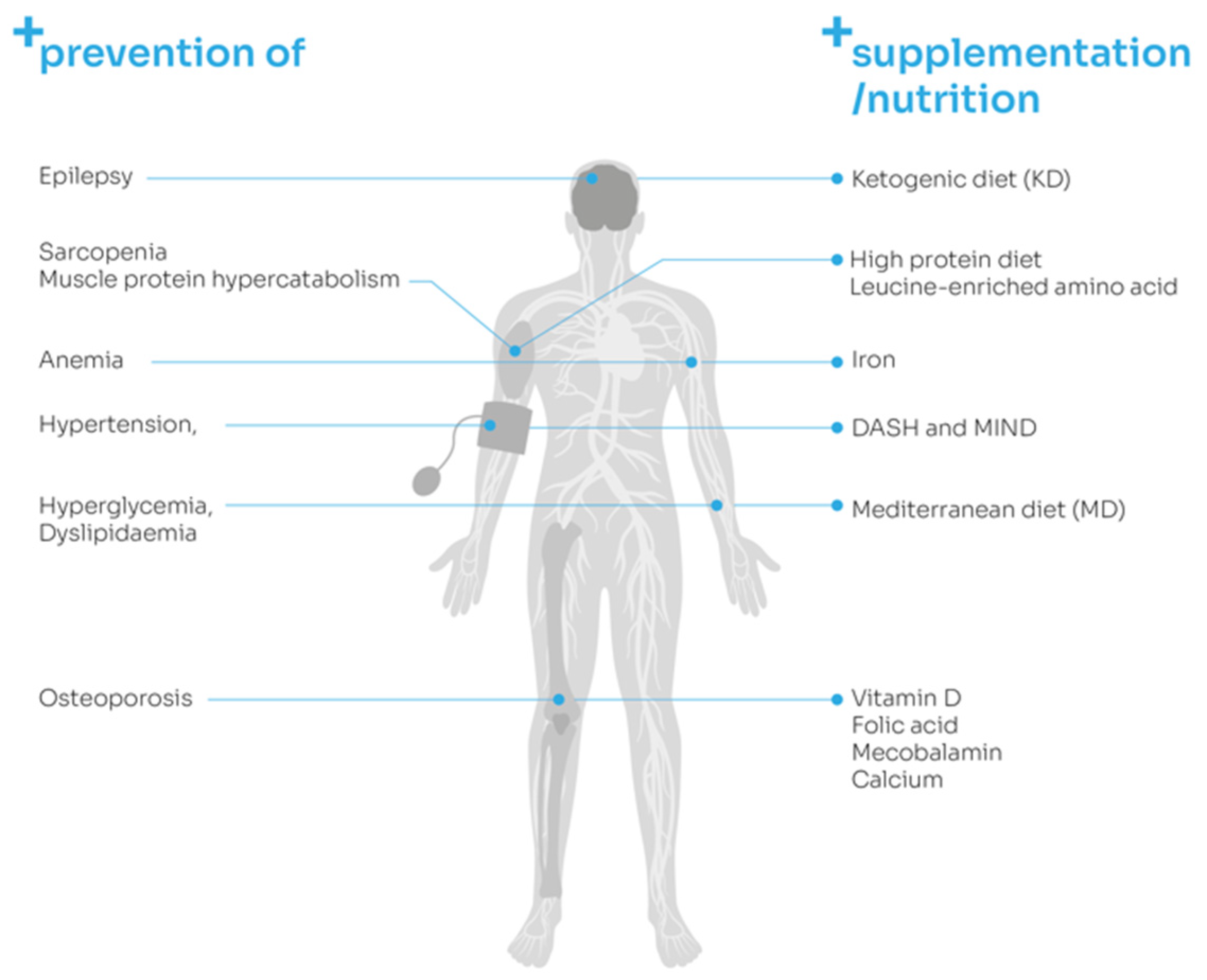 Nutrients 13 02704 g002