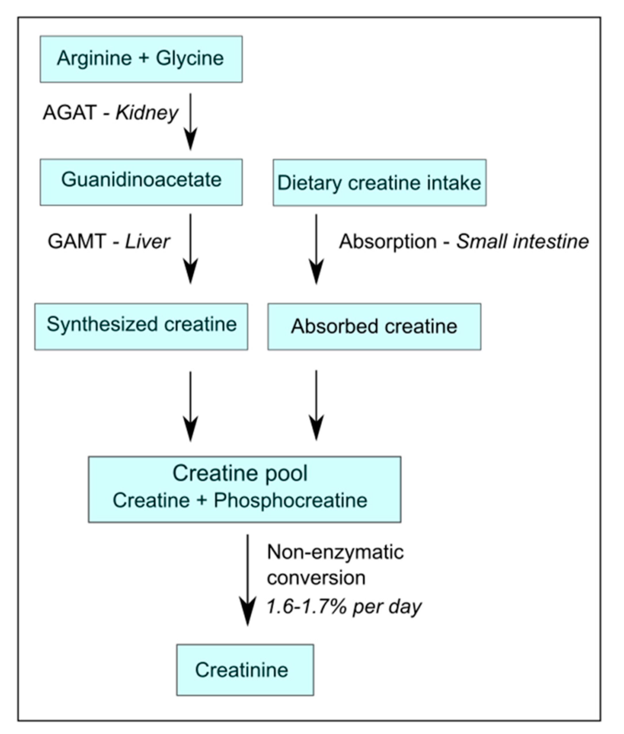 Nutrients 13 02709 g001 Nutrients 13 02709 g001