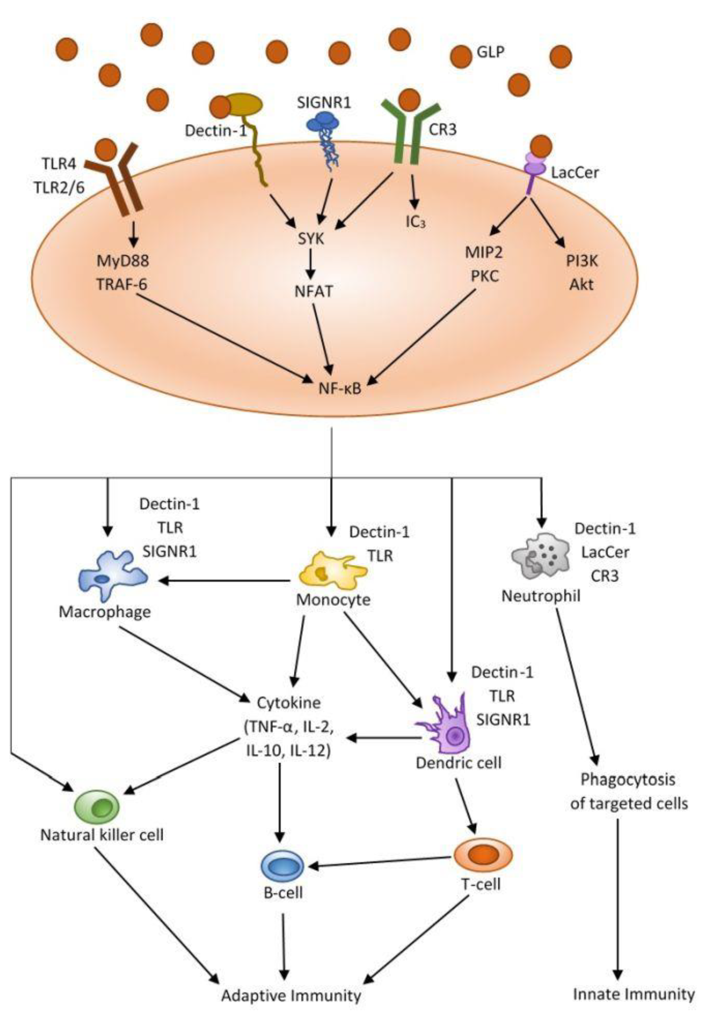 Nutrients 13 02725 g003