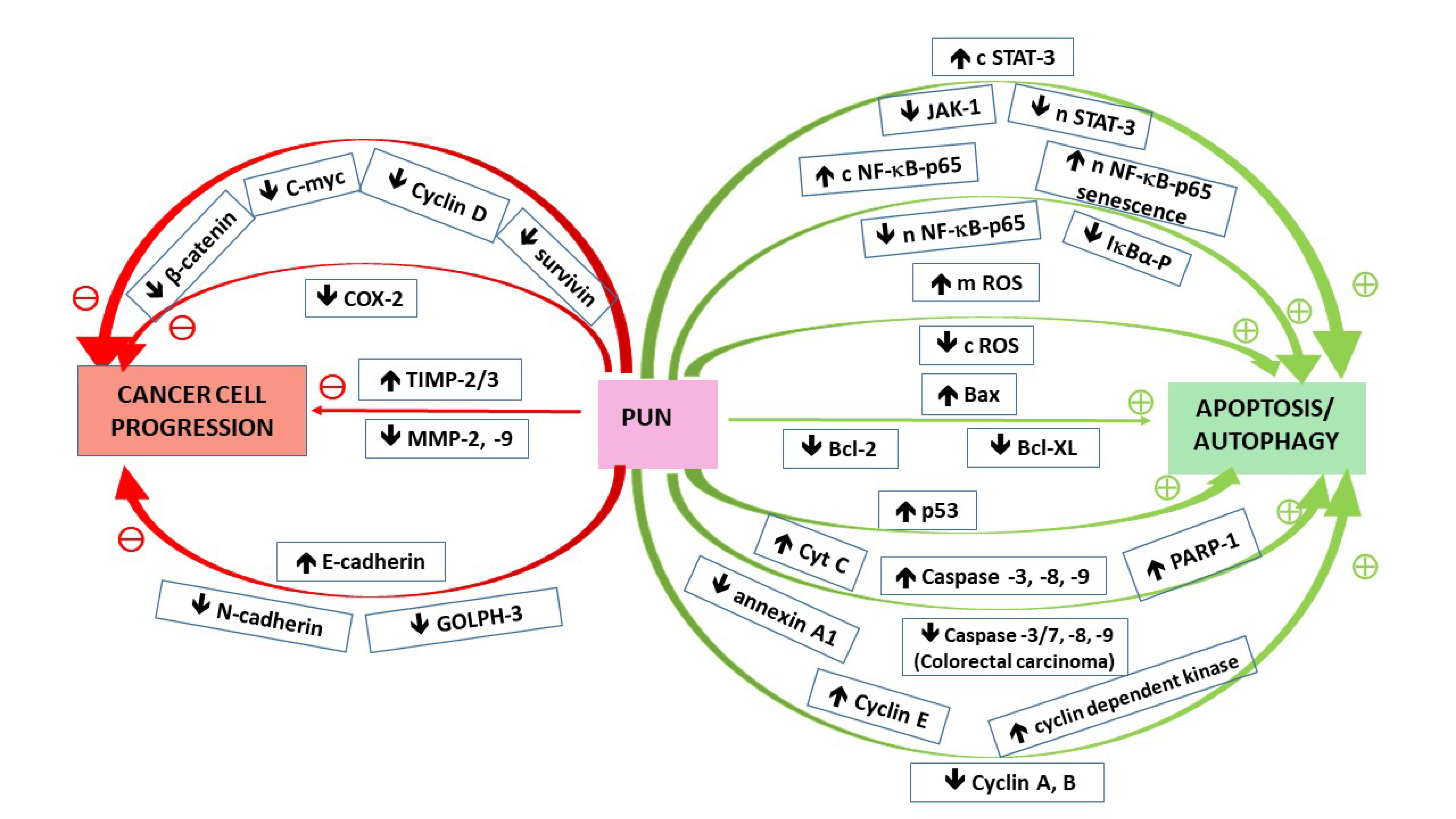Nutrients 13 02733 g002
