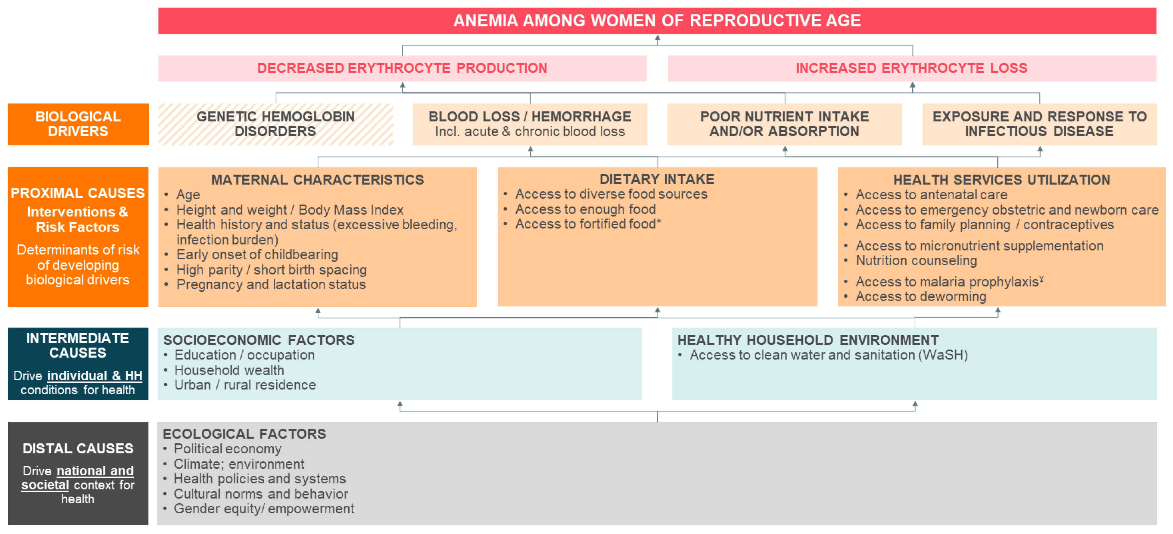 Nutrients 13 02745 g002