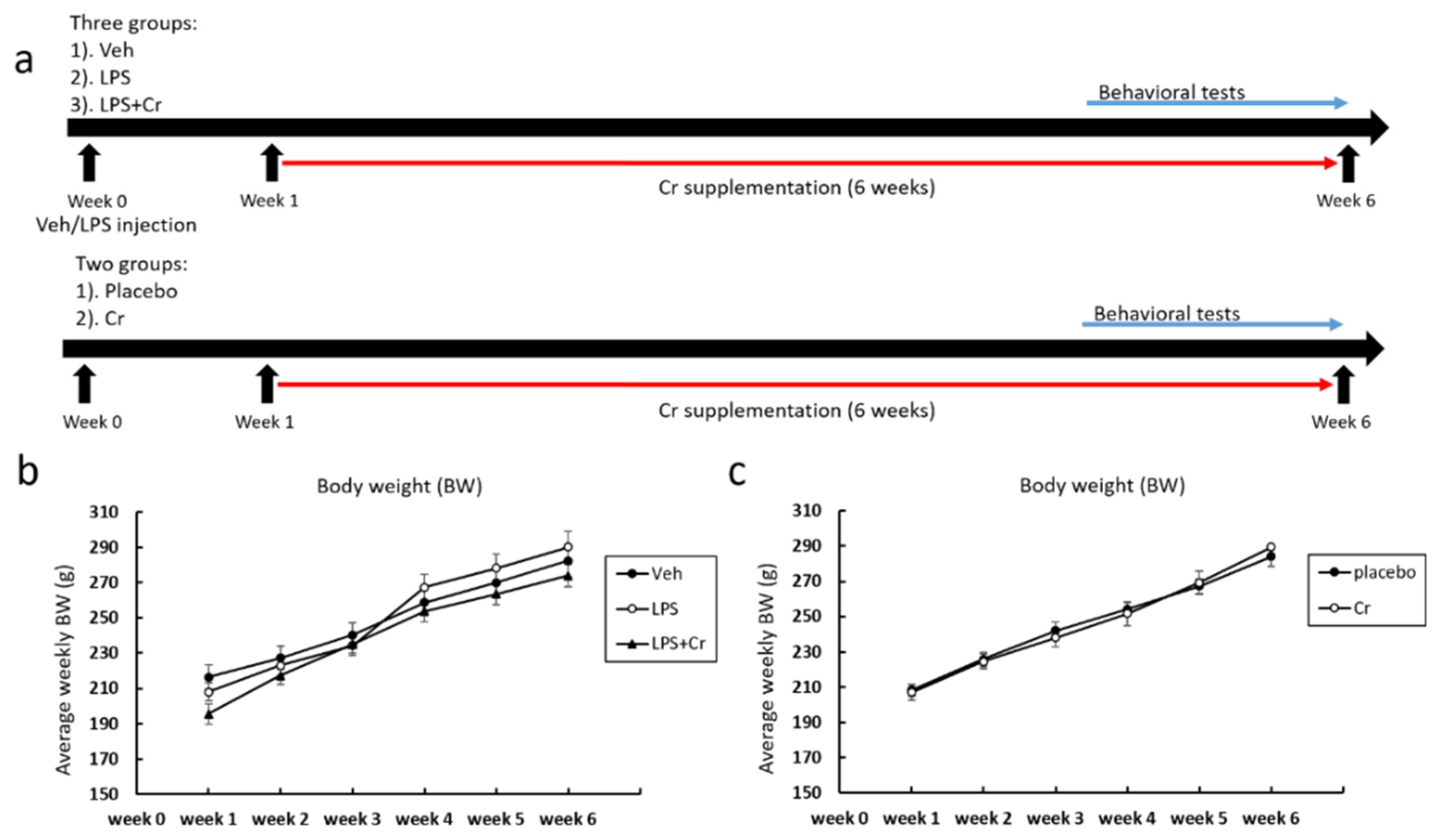 Nutrients 13 02758 g001
