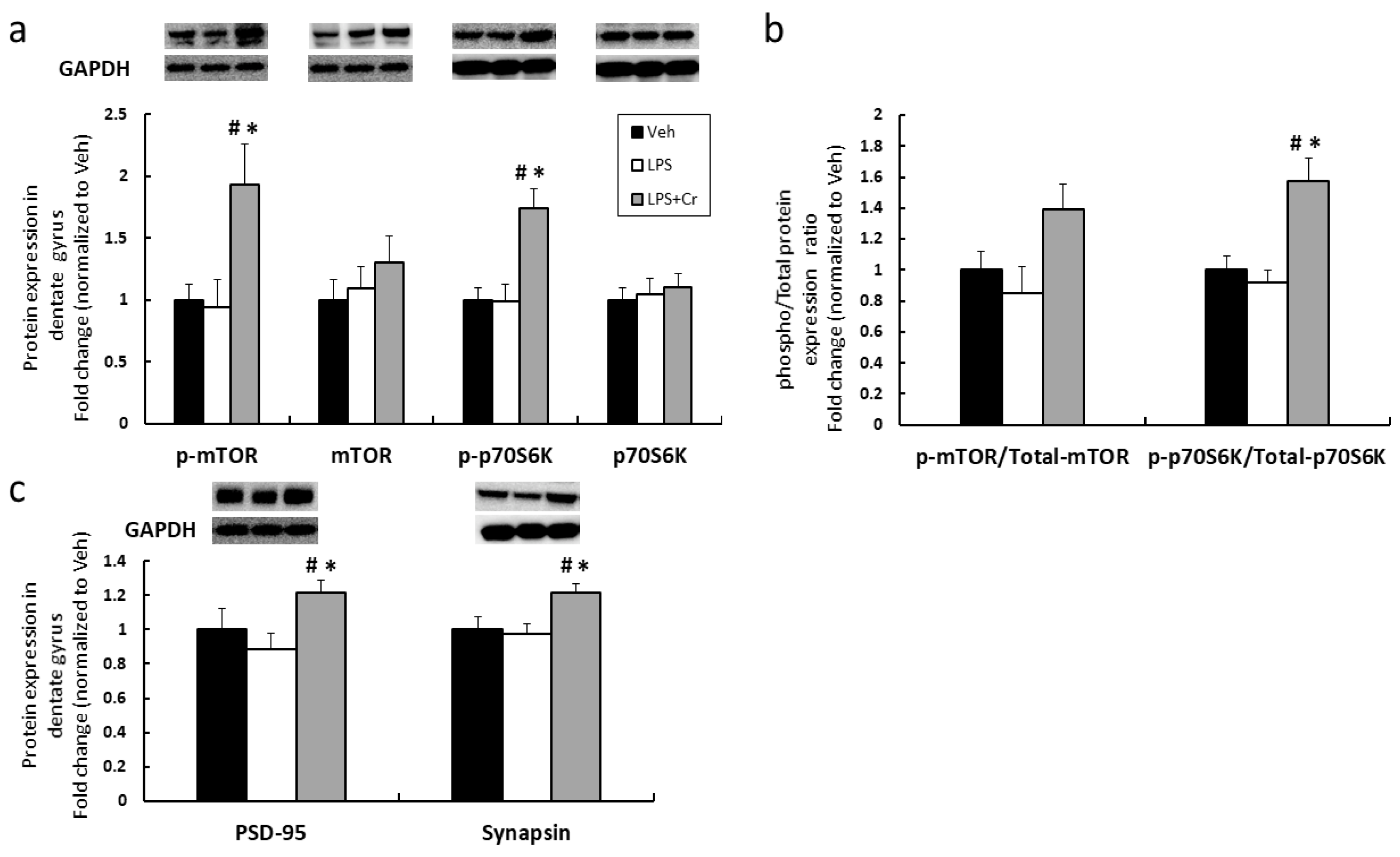 Nutrients 13 02758 g004