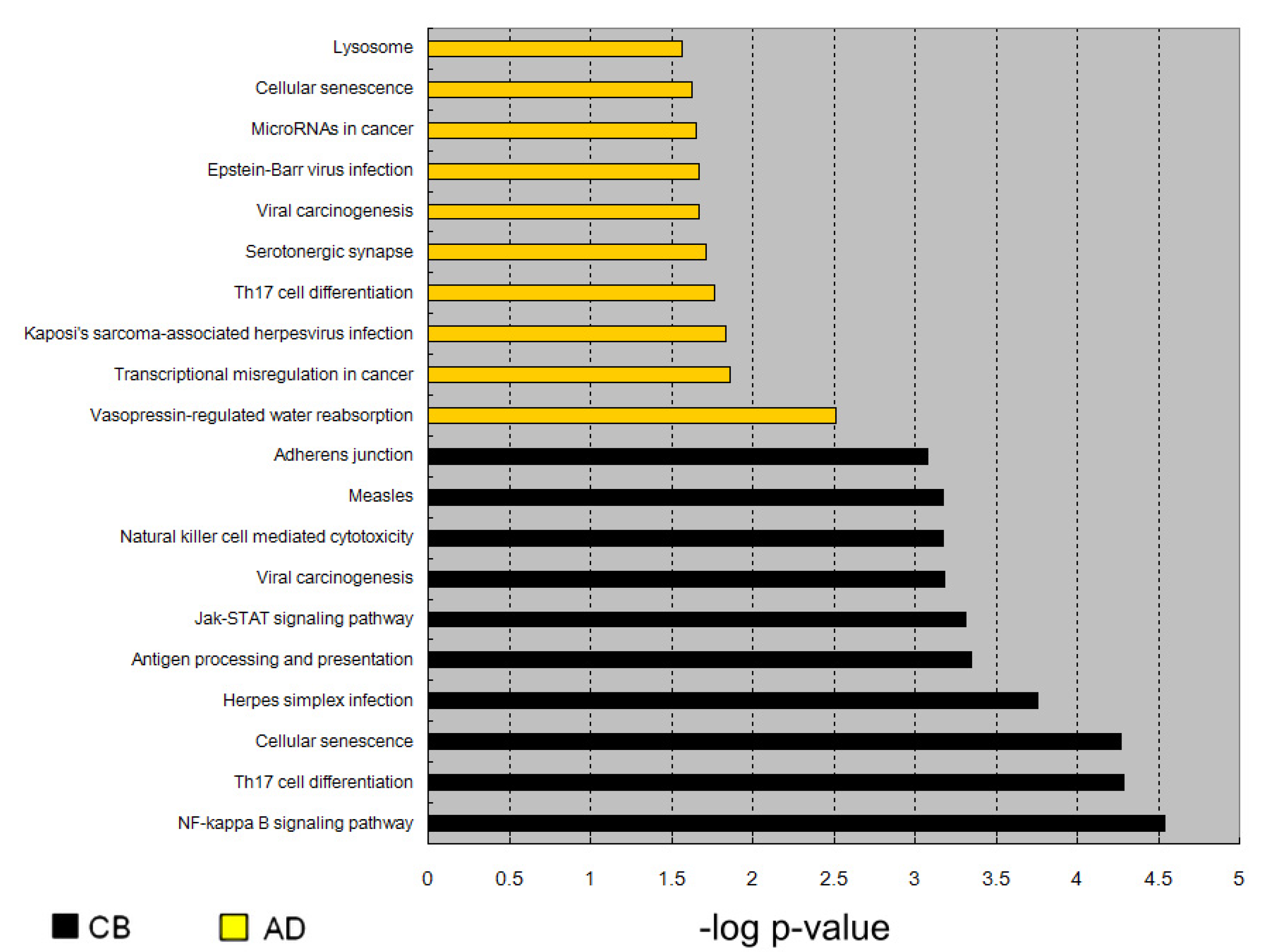 Nutrients 13 02780 g005
