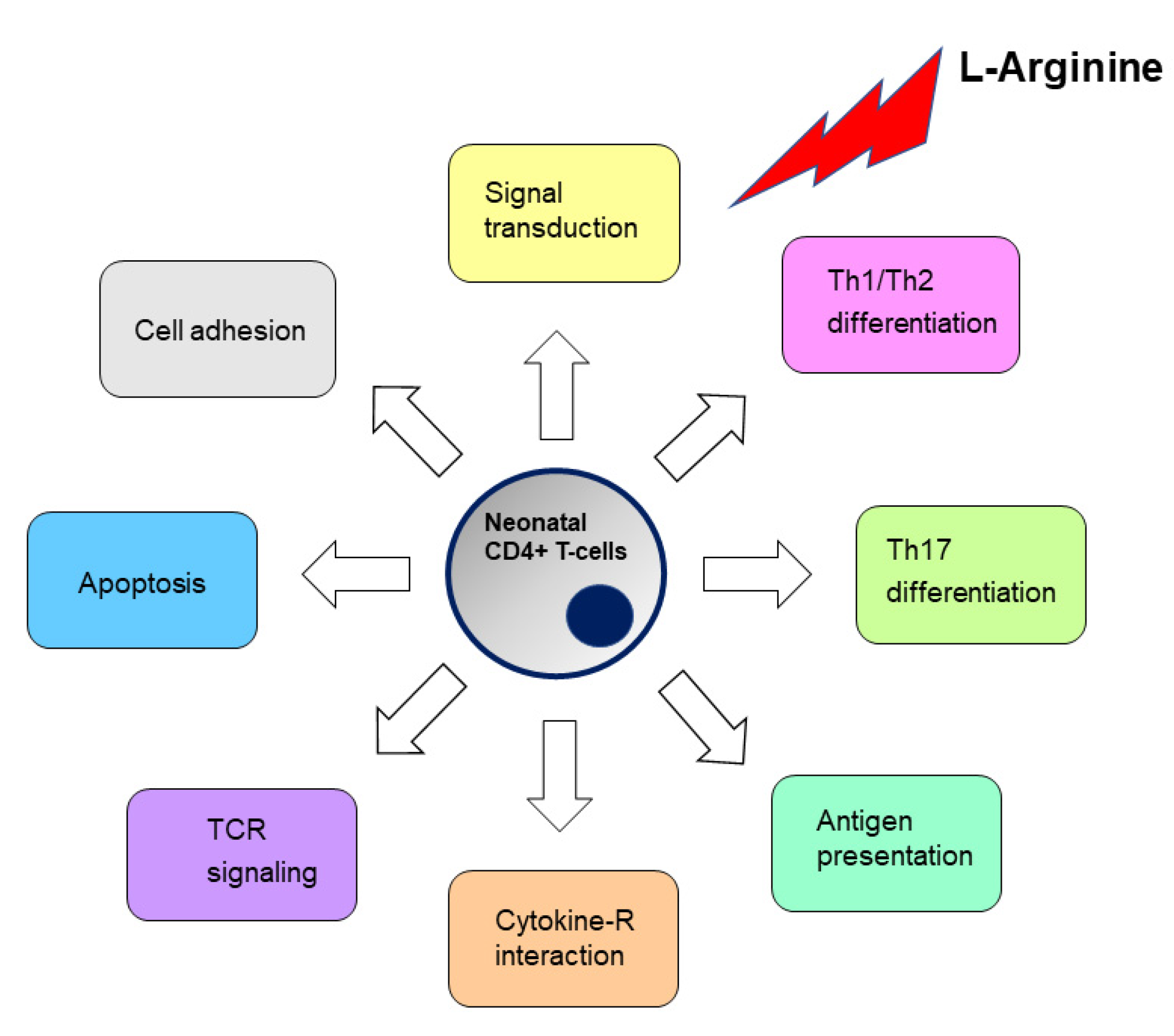 Nutrients 13 02780 g007