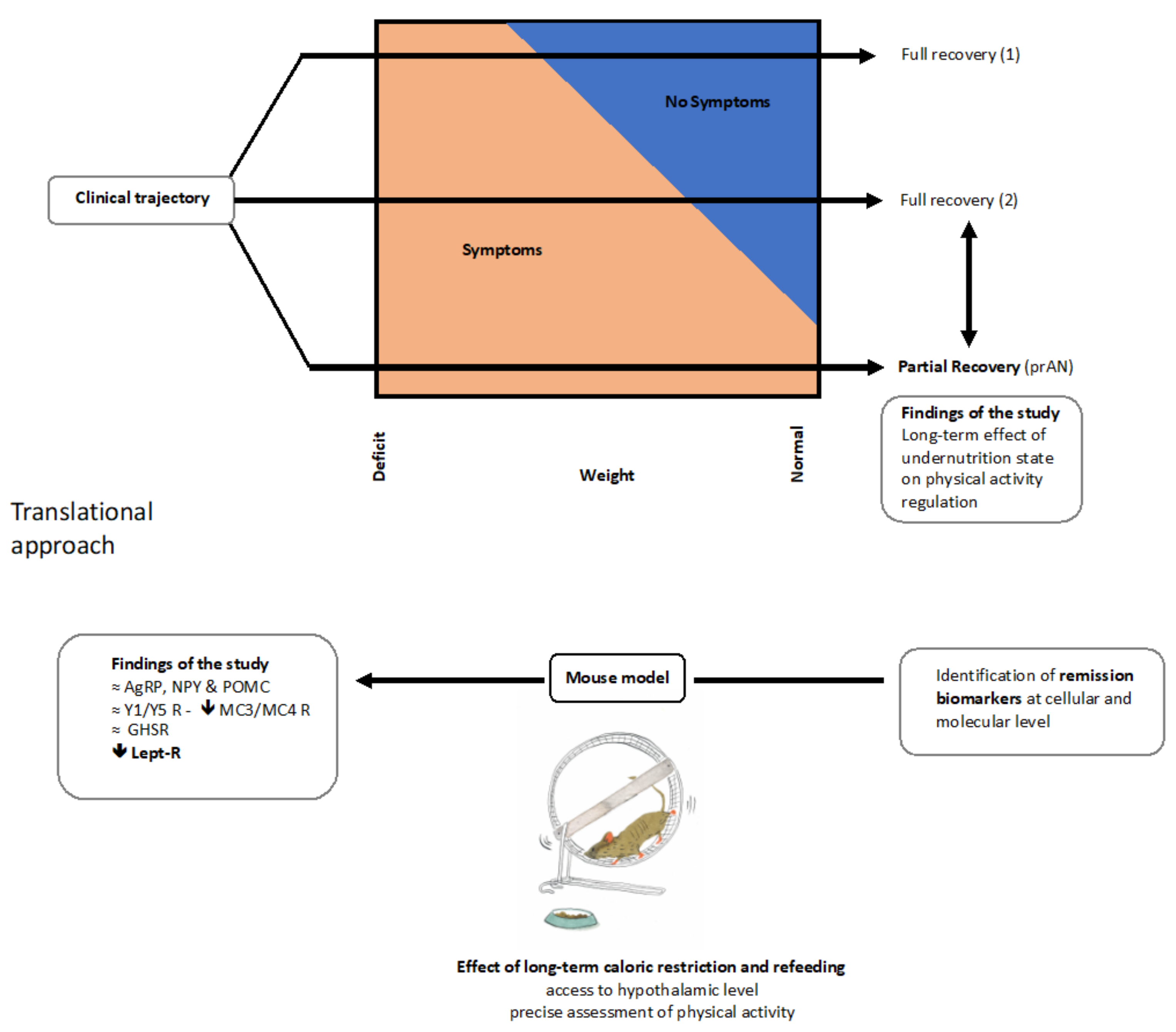 Nutrients 13 02786 g007