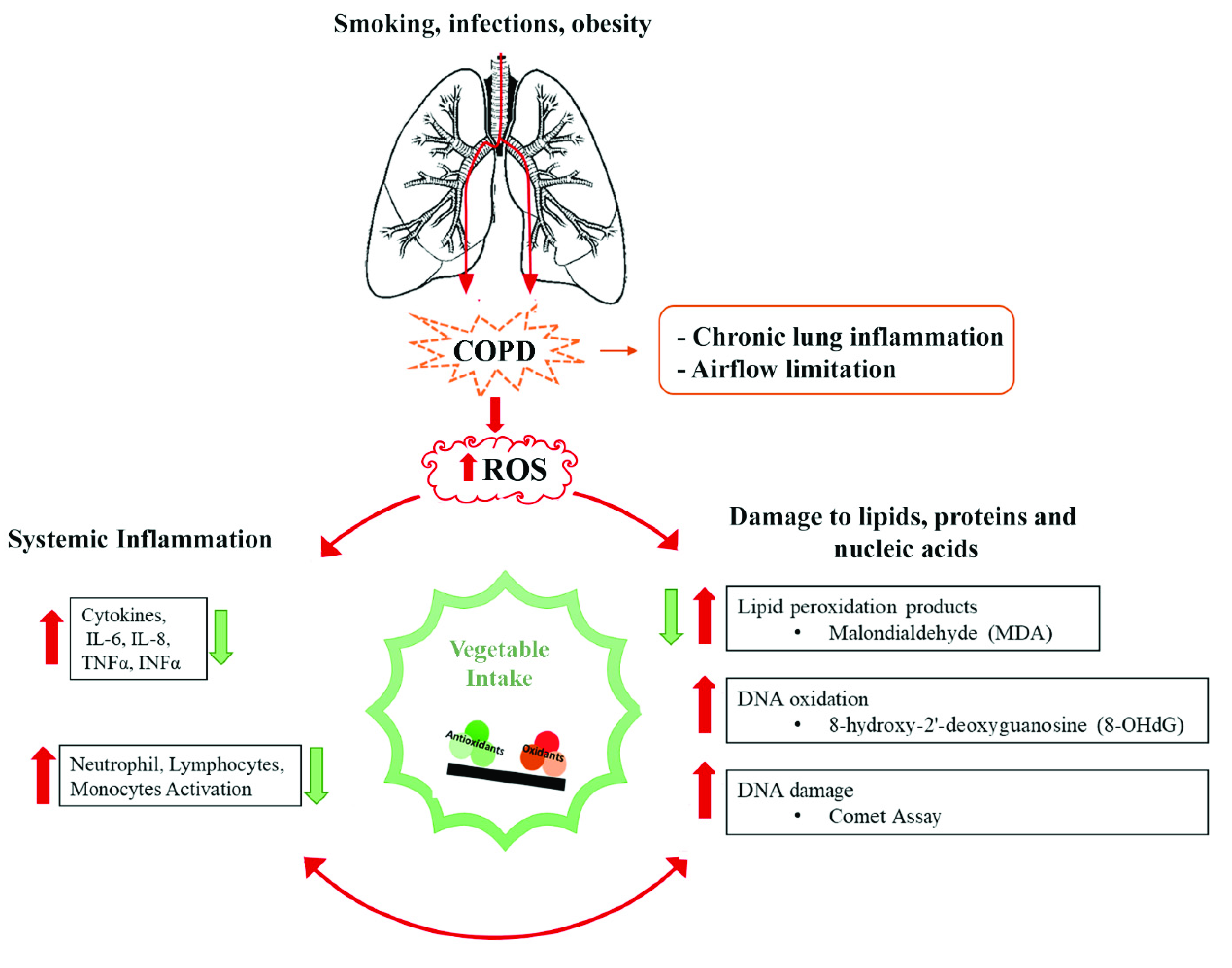 Nutrients 13 02787 g002 Nutrients 13 02787 g002