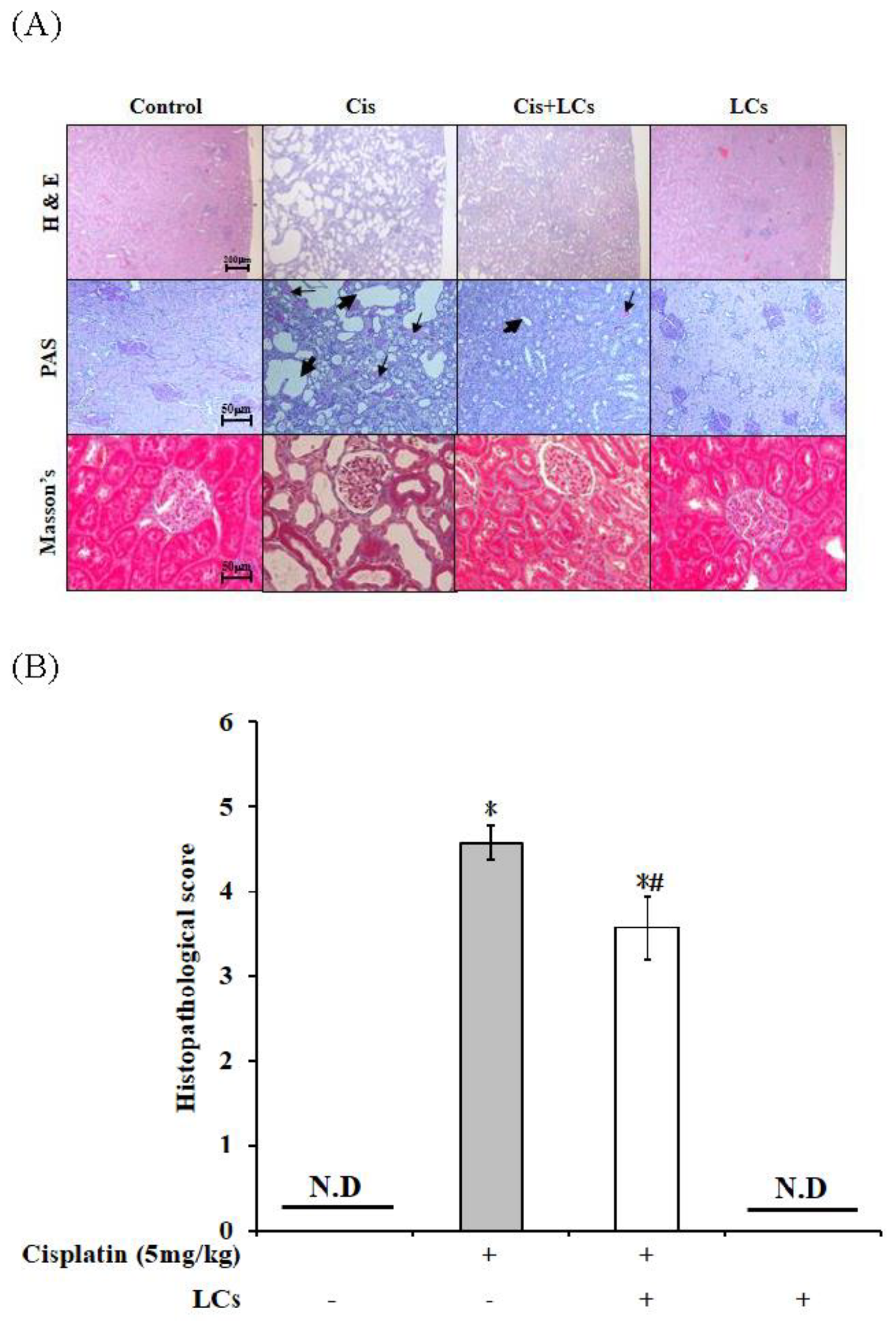 Nutrients 13 02792 g001 Nutrients 13 02792 g001