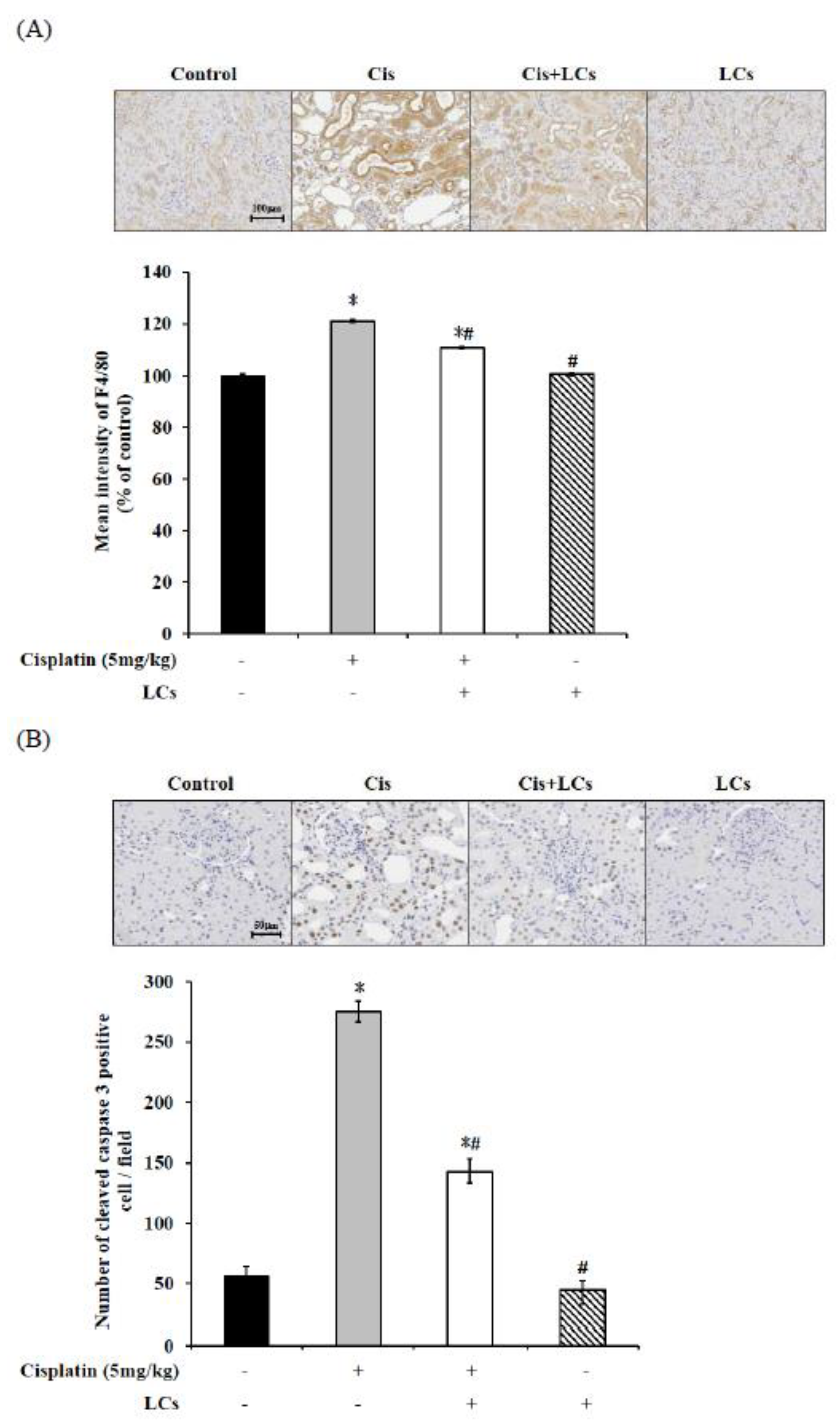 Nutrients 13 02792 g003a Nutrients 13 02792 g003a