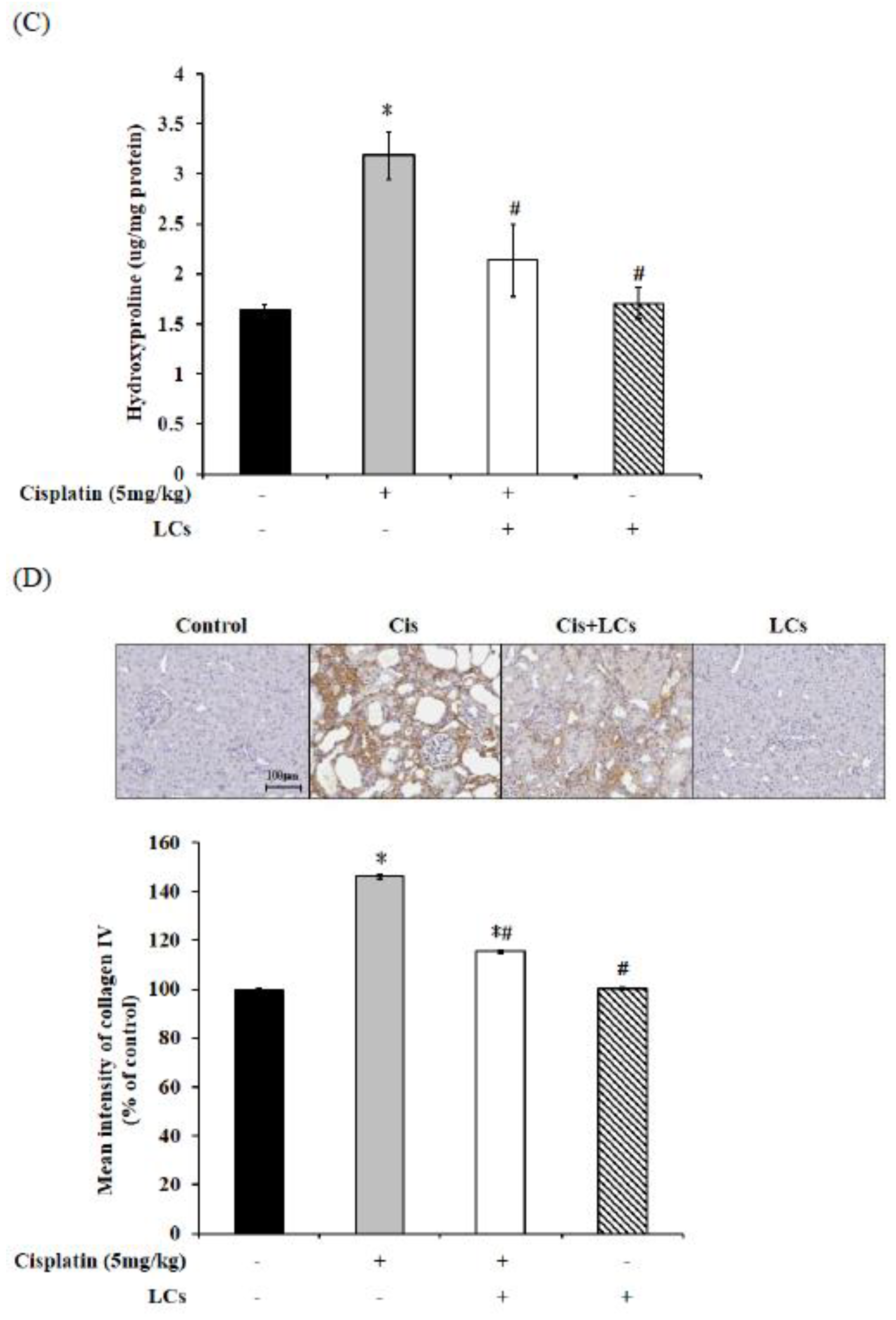 Nutrients 13 02792 g003b Nutrients 13 02792 g003b