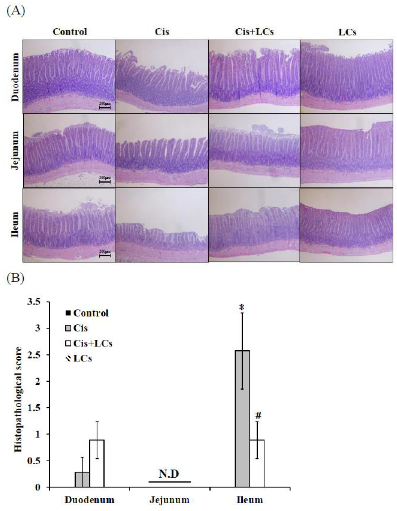 Nutrients 13 02792 g004a Nutrients 13 02792 g004a