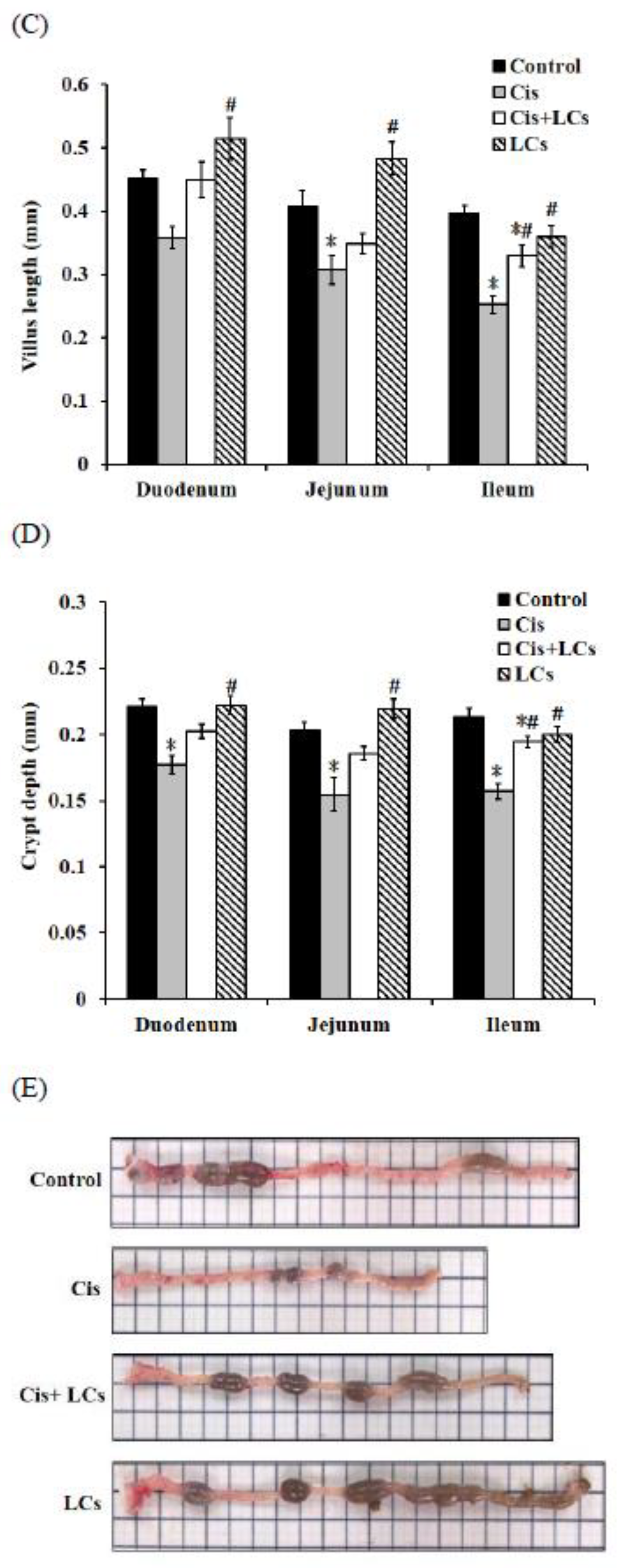 Nutrients 13 02792 g004b Nutrients 13 02792 g004b