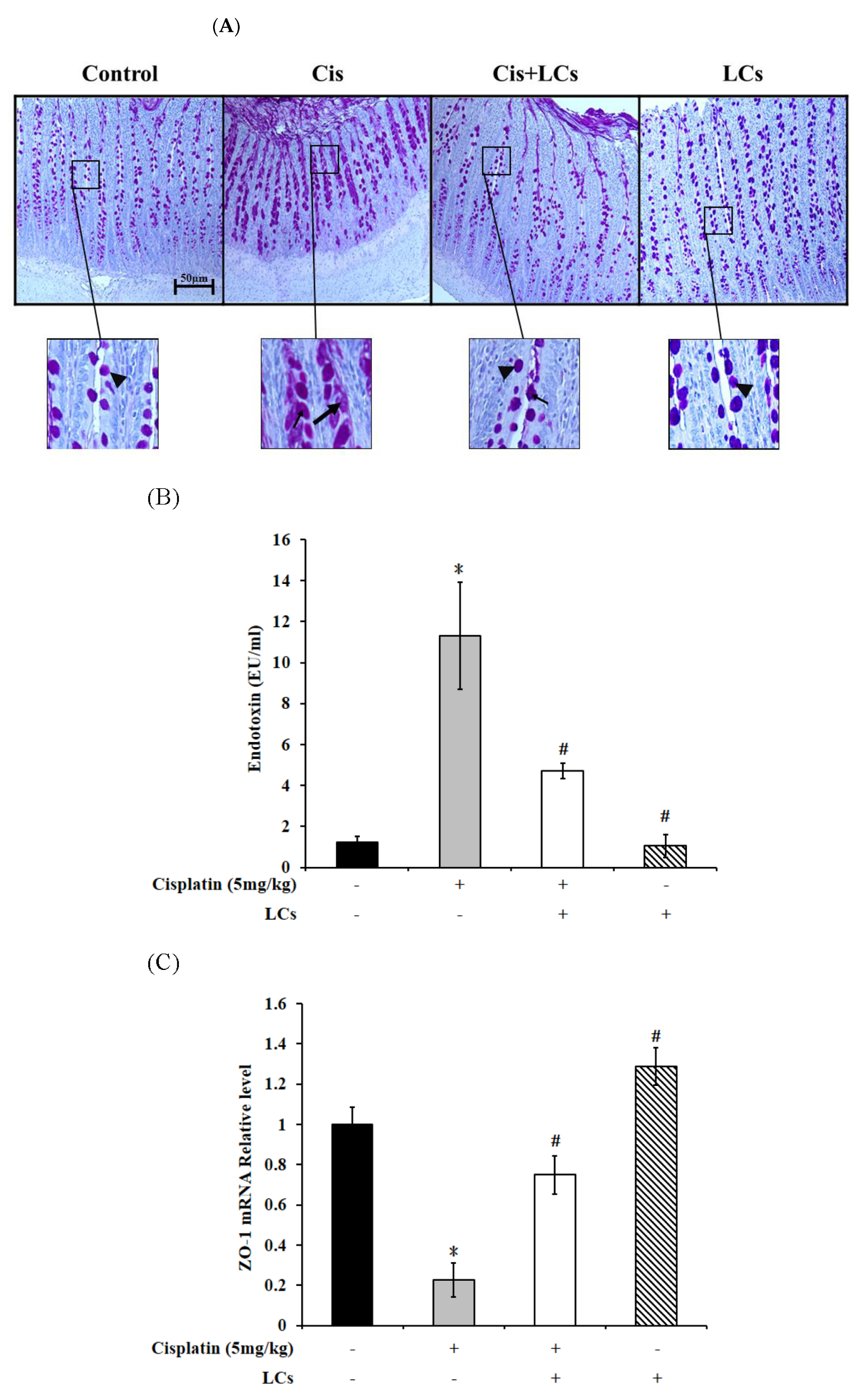 Nutrients 13 02792 g005 Nutrients 13 02792 g005
