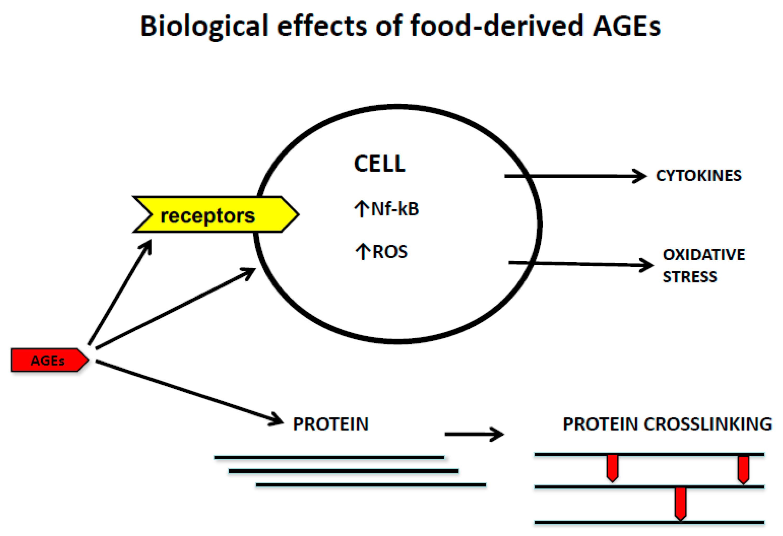 Nutrients 13 02802 g001