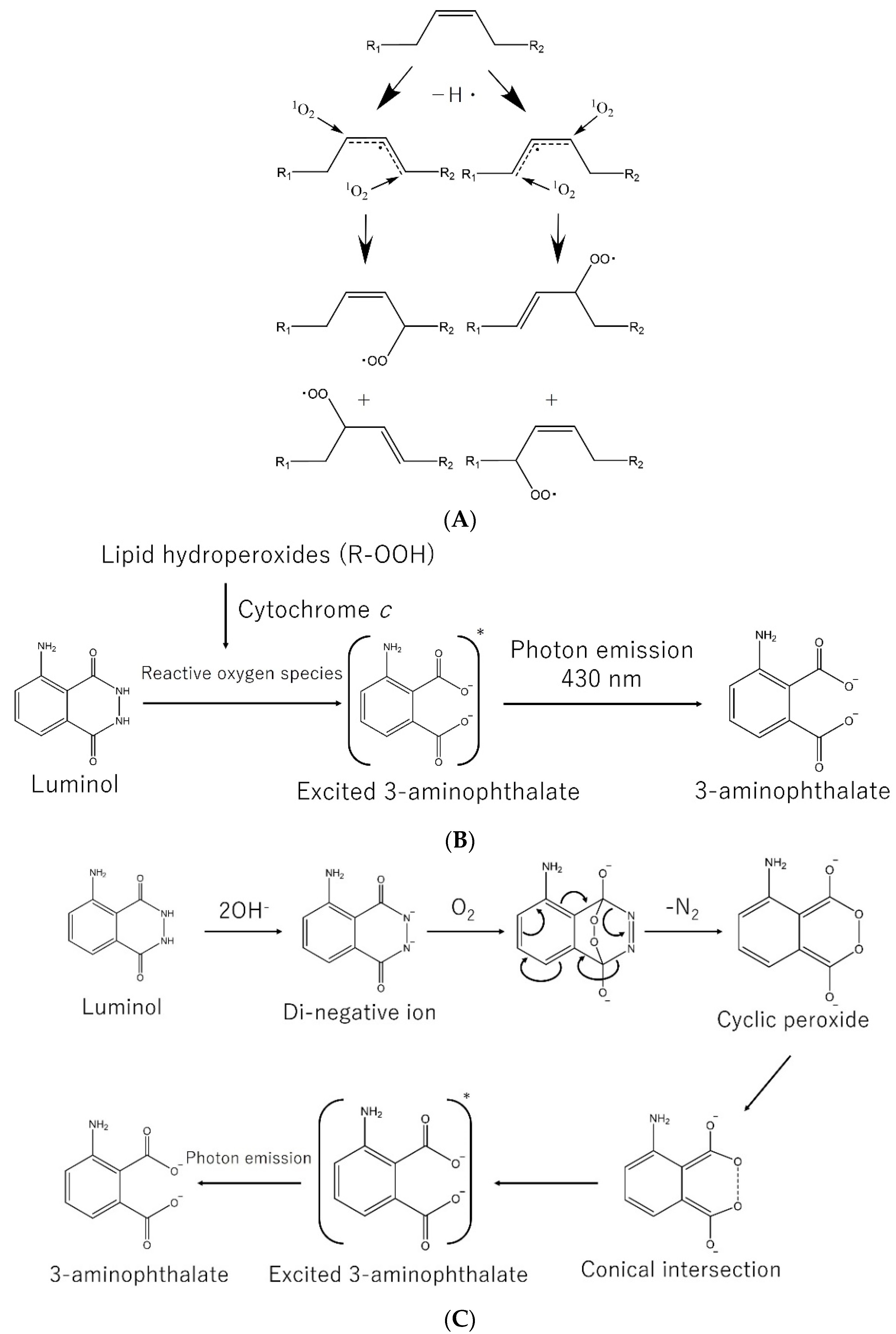 Nutrients 13 02804 g002 Nutrients 13 02804 g002