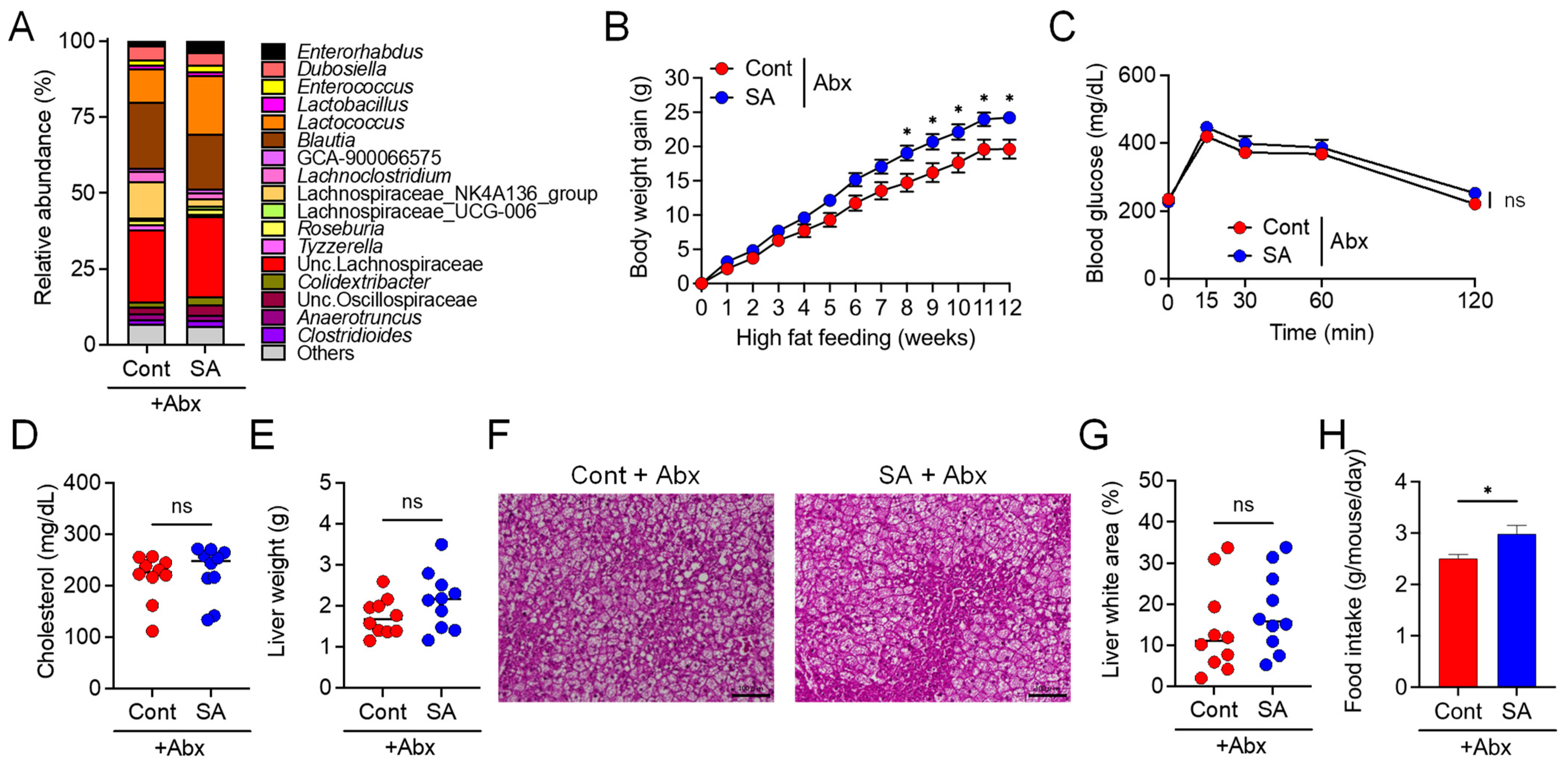 Nutrients 13 02812 g003