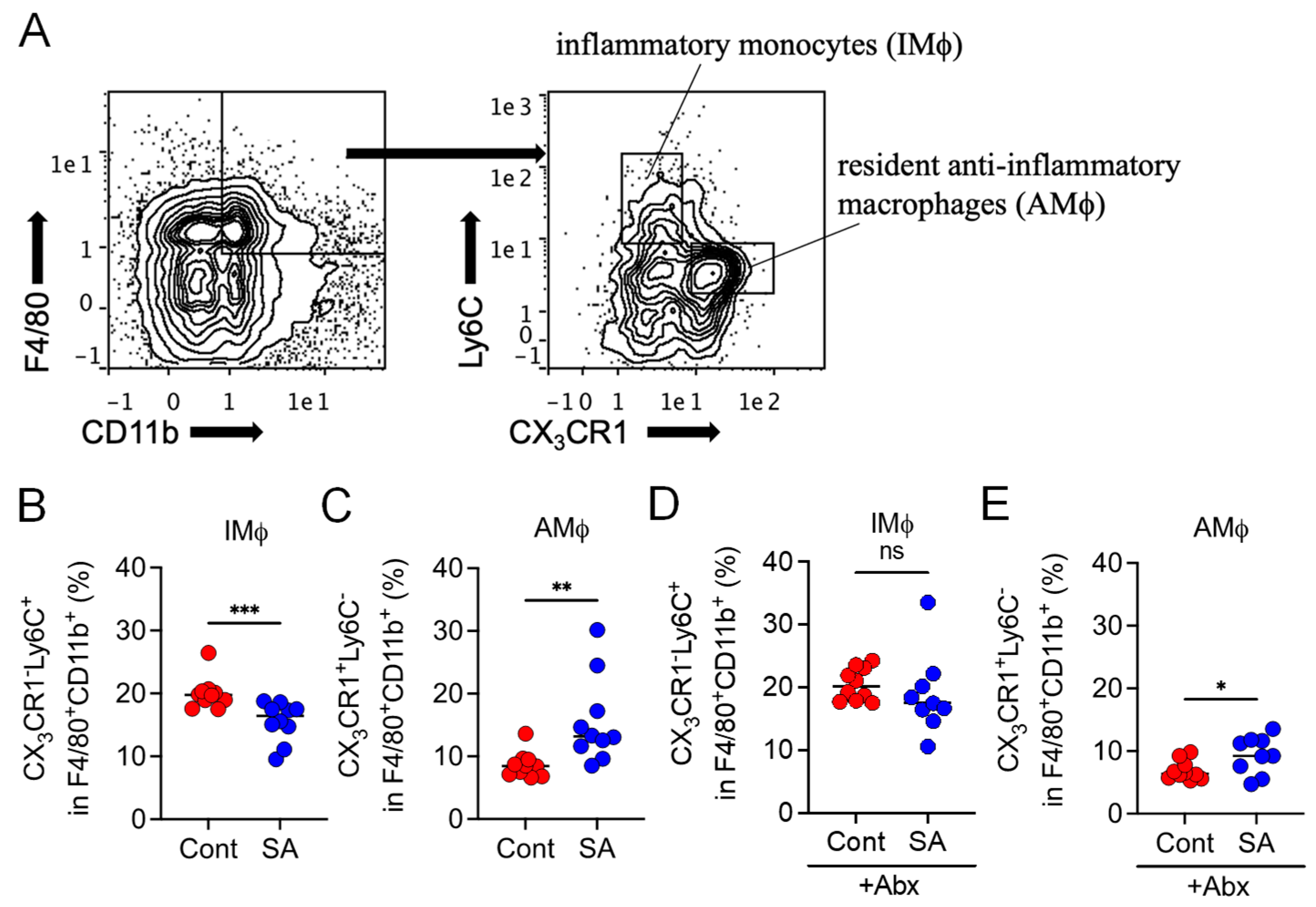 Nutrients 13 02812 g004