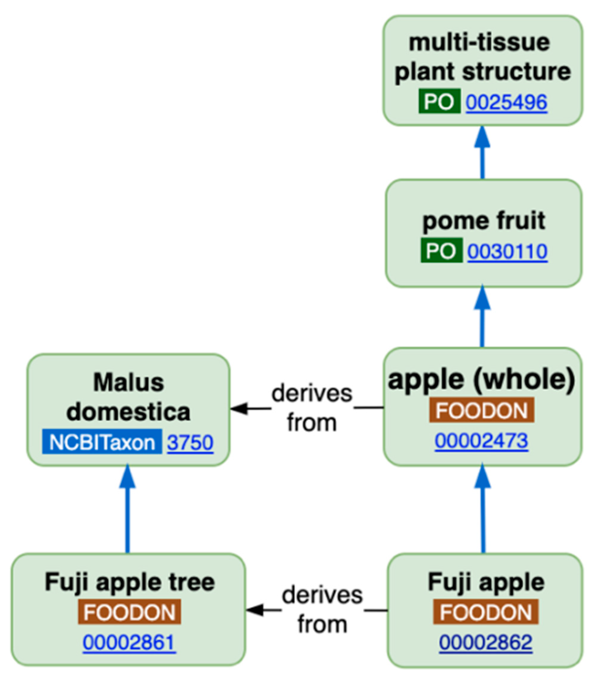 Nutrients 13 02816 g002 Nutrients 13 02816 g002