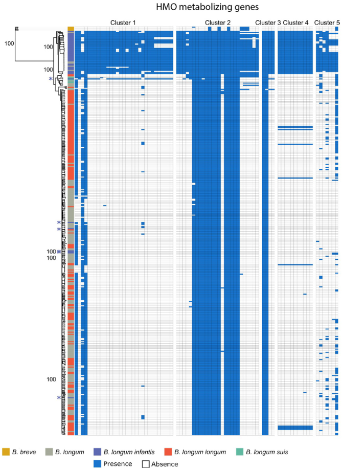 Nutrients 13 02833 g002