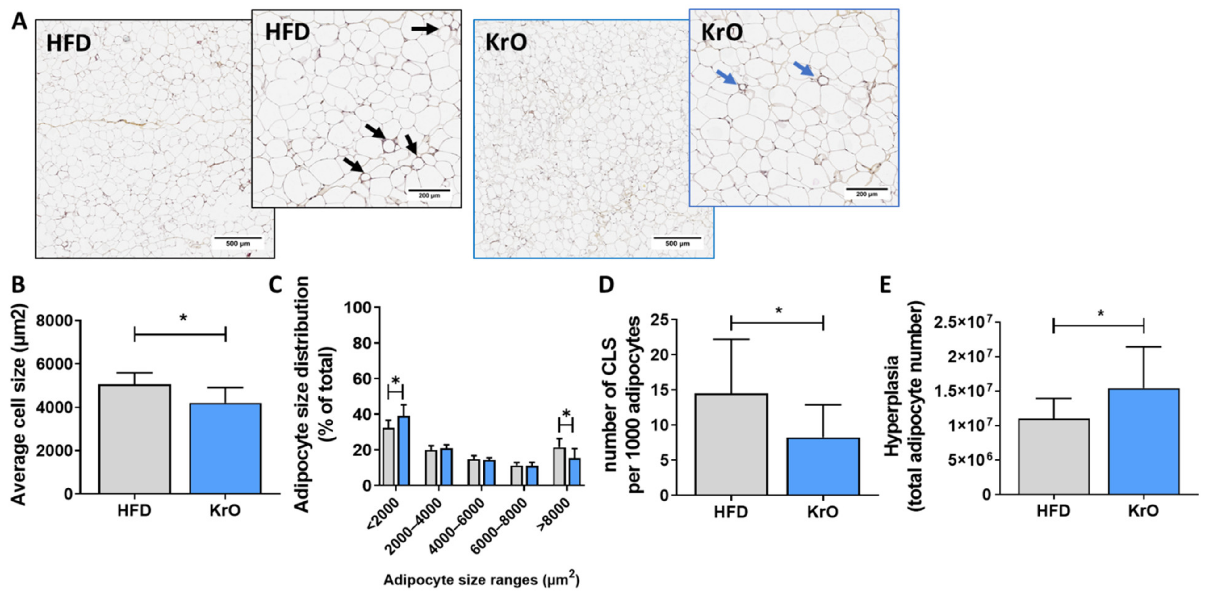 Nutrients 13 02836 g001