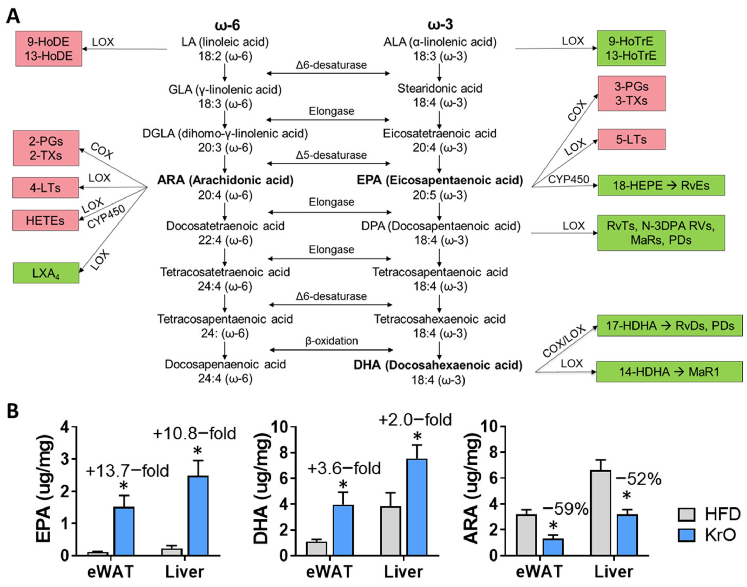 Nutrients 13 02836 g002
