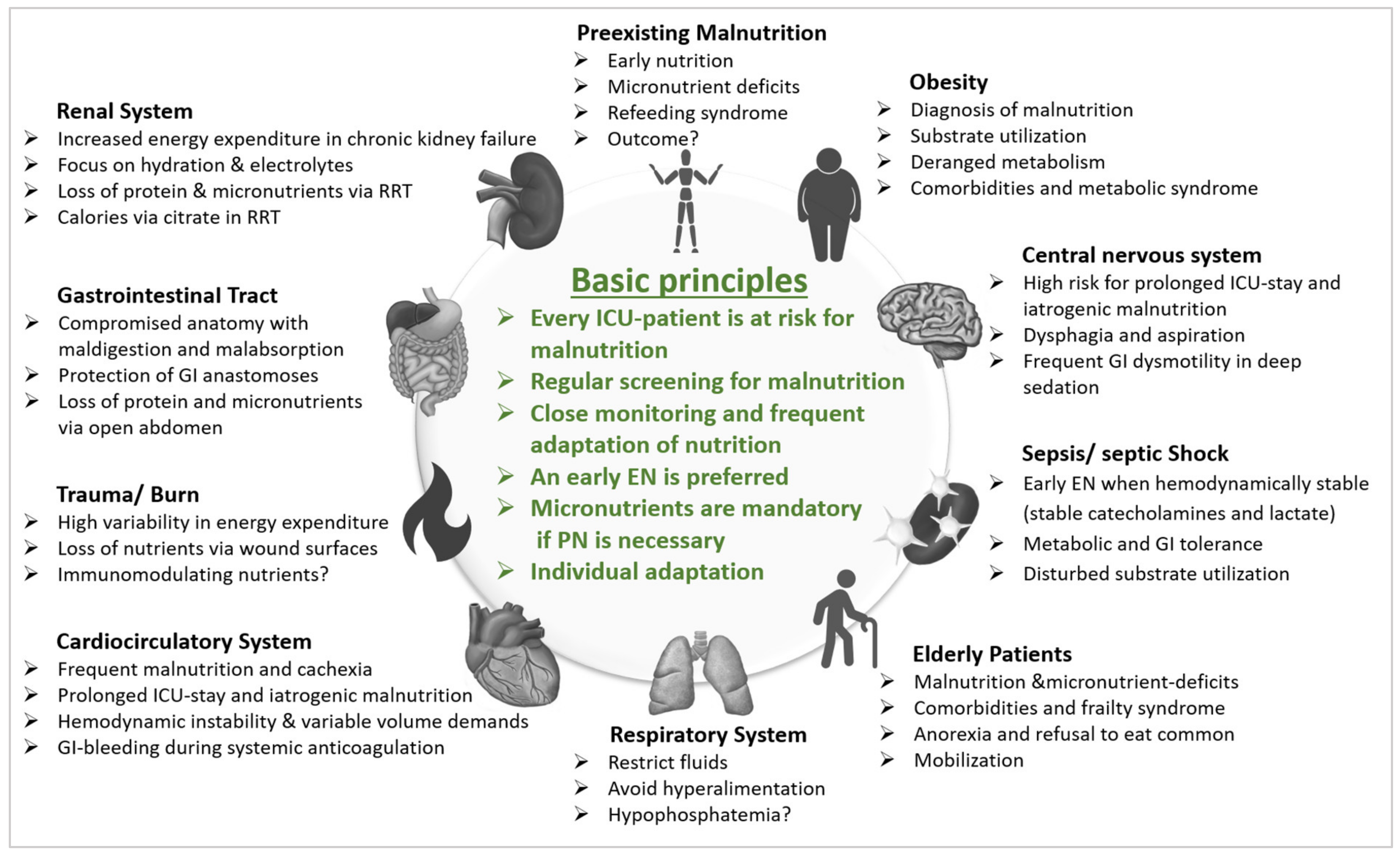 Nutrients 13 02851 g001