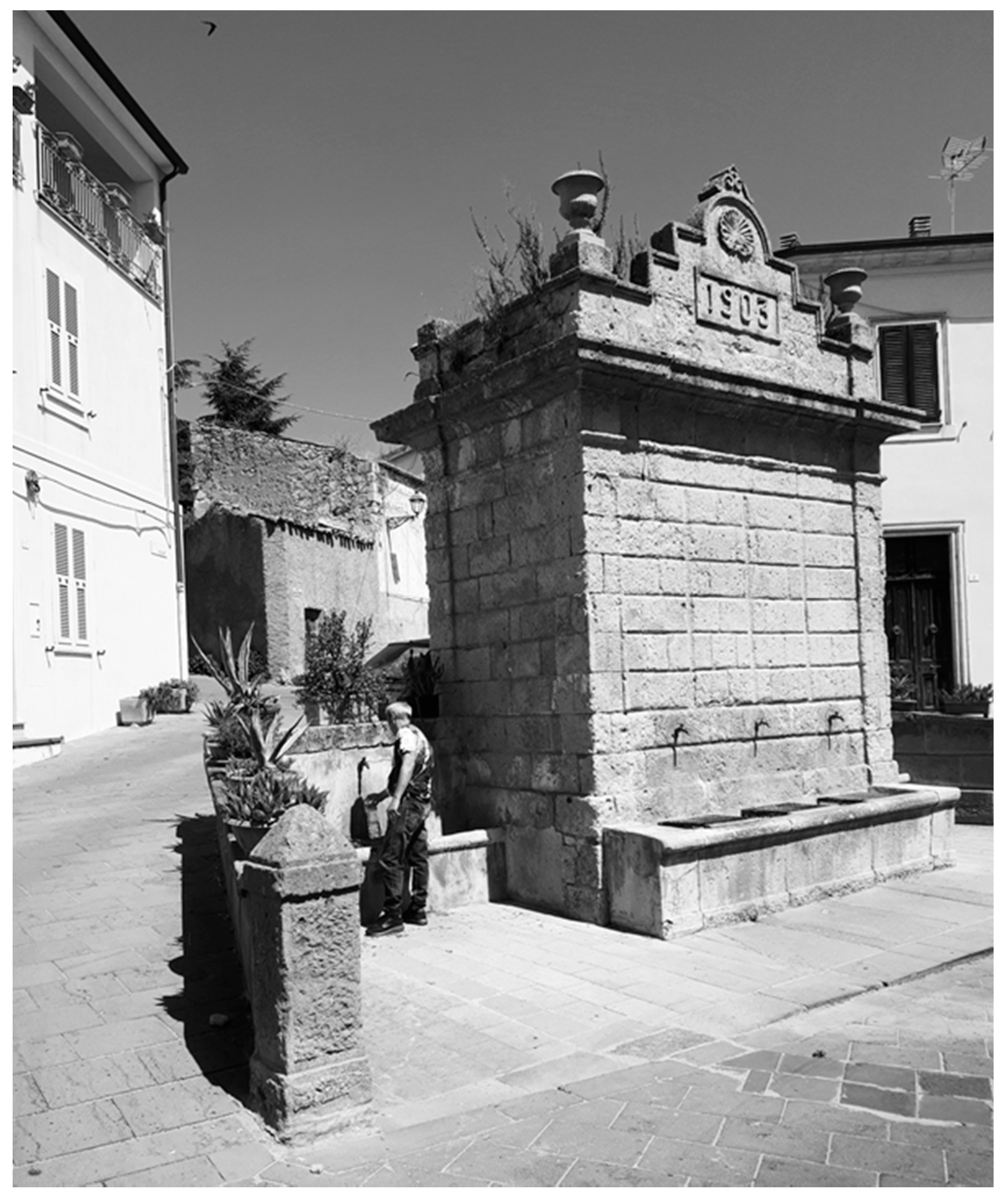 Nutrients 13 02858 g001