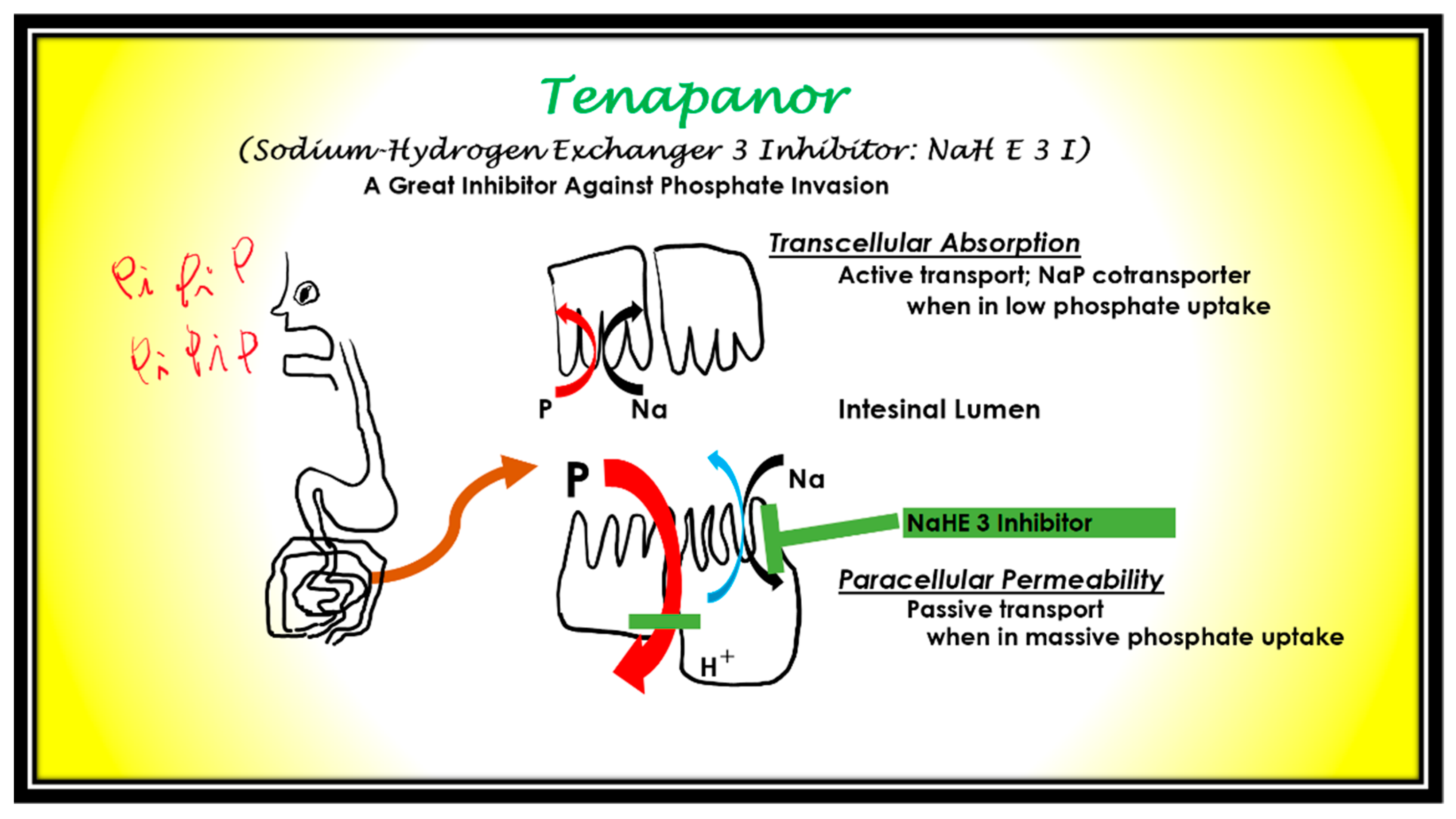 Nutrients 13 02874 g011