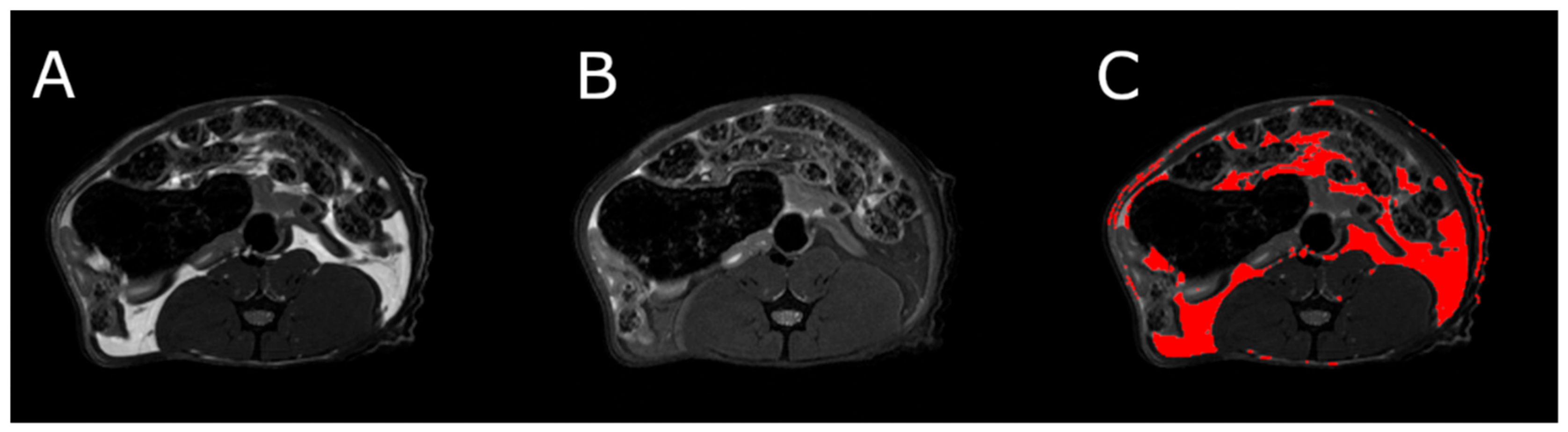 Nutrients 13 02876 g006 Nutrients 13 02876 g006