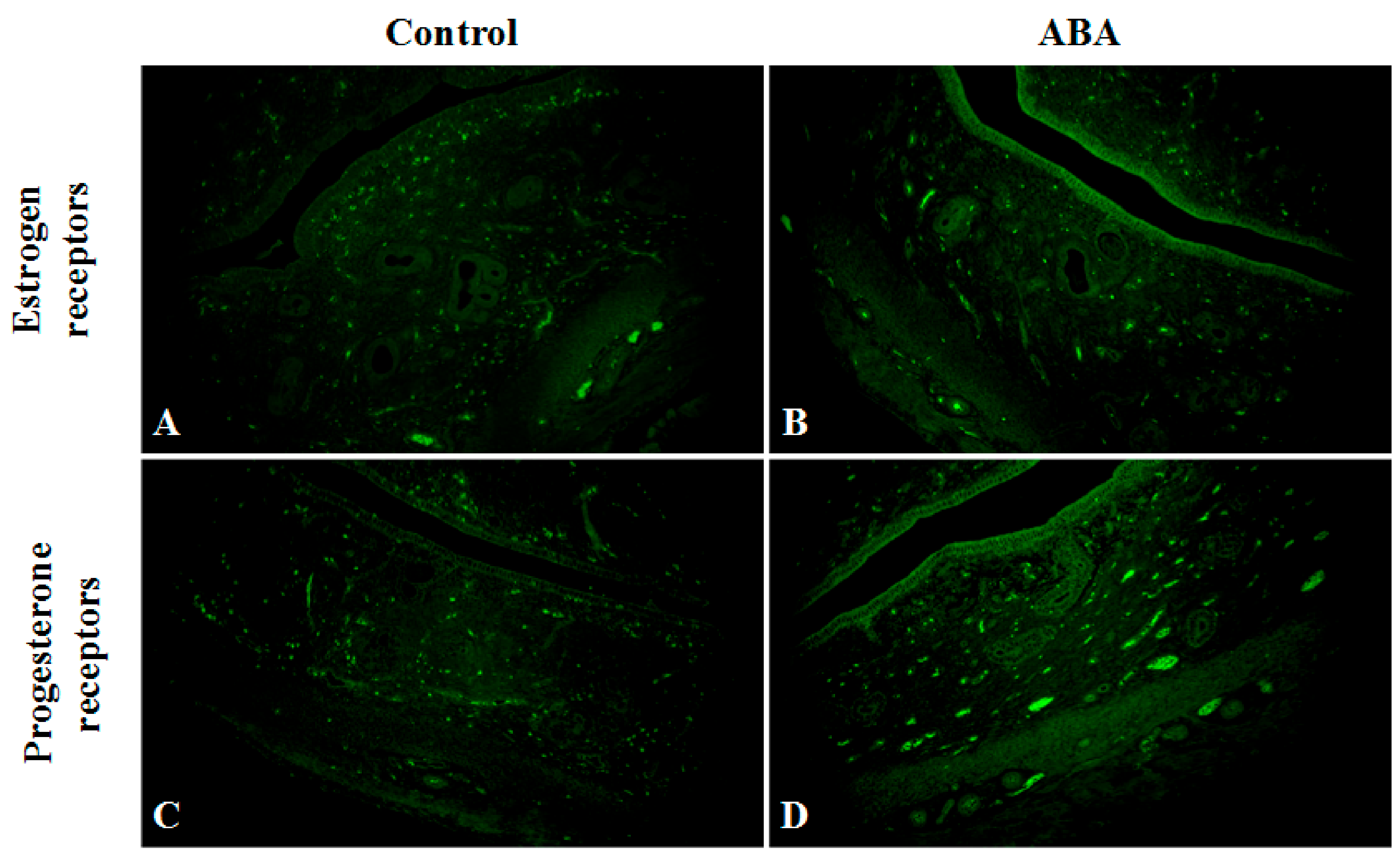 Nutrients 13 02876 g007 Nutrients 13 02876 g007