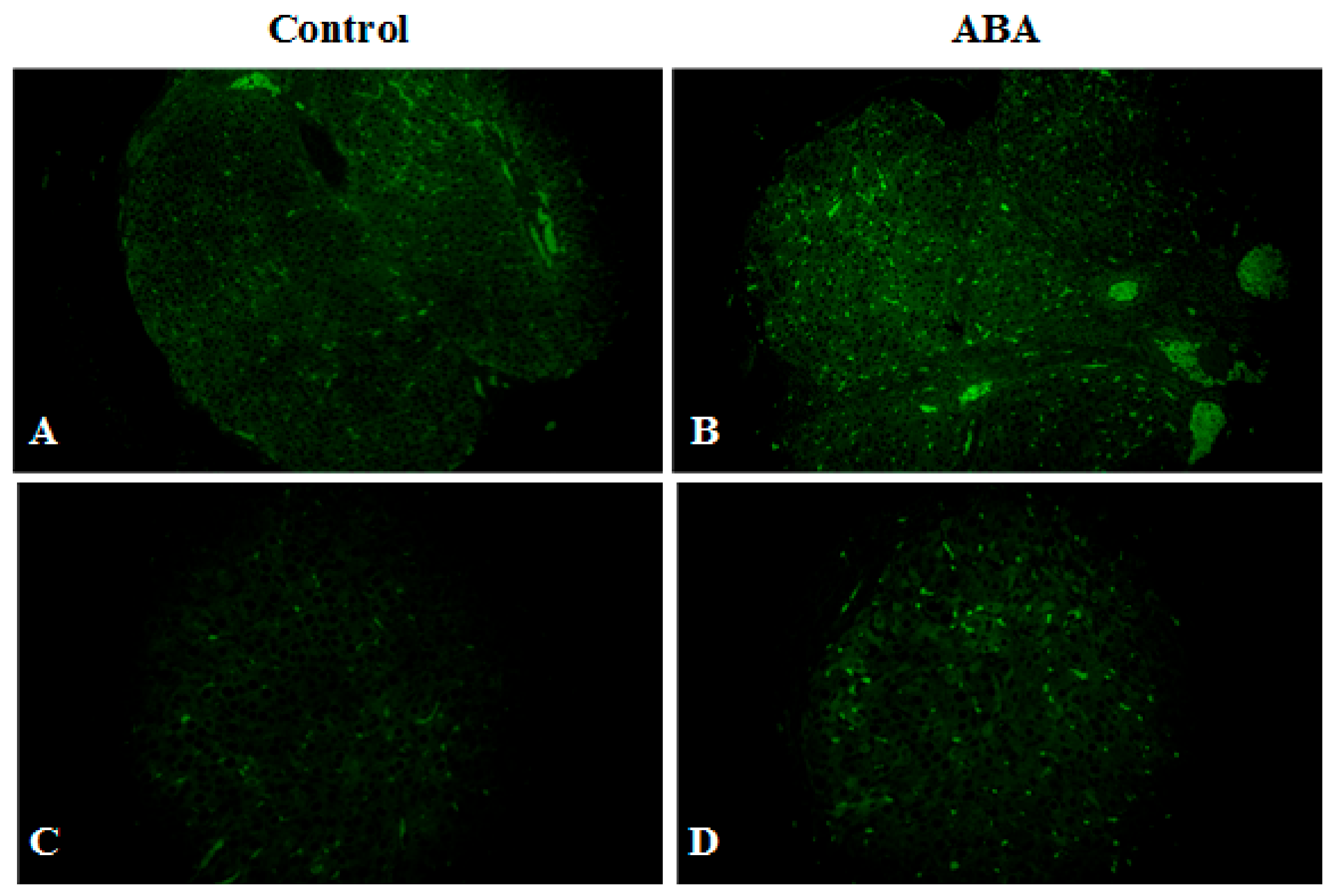 Nutrients 13 02876 g008 Nutrients 13 02876 g008