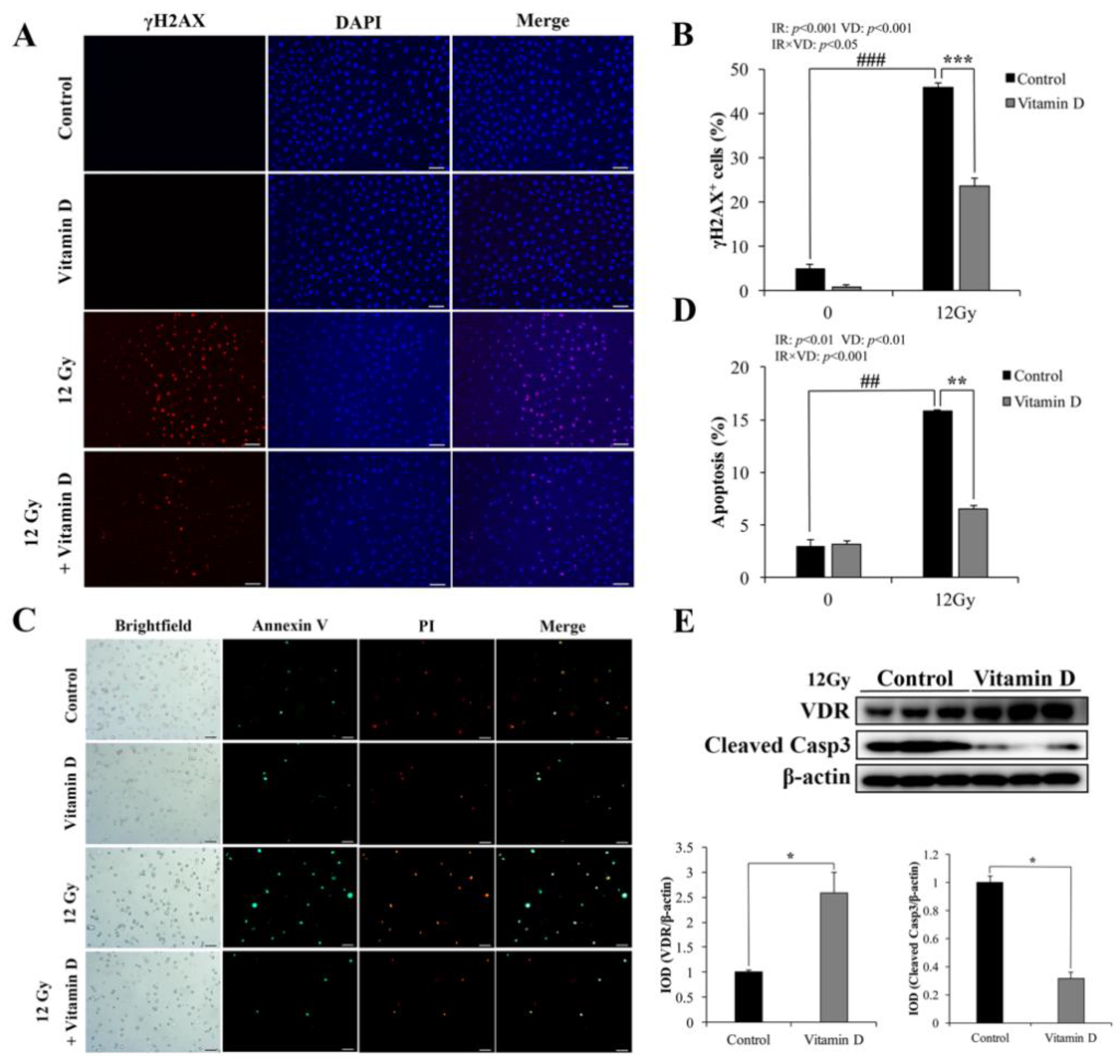 Nutrients 13 02910 g001