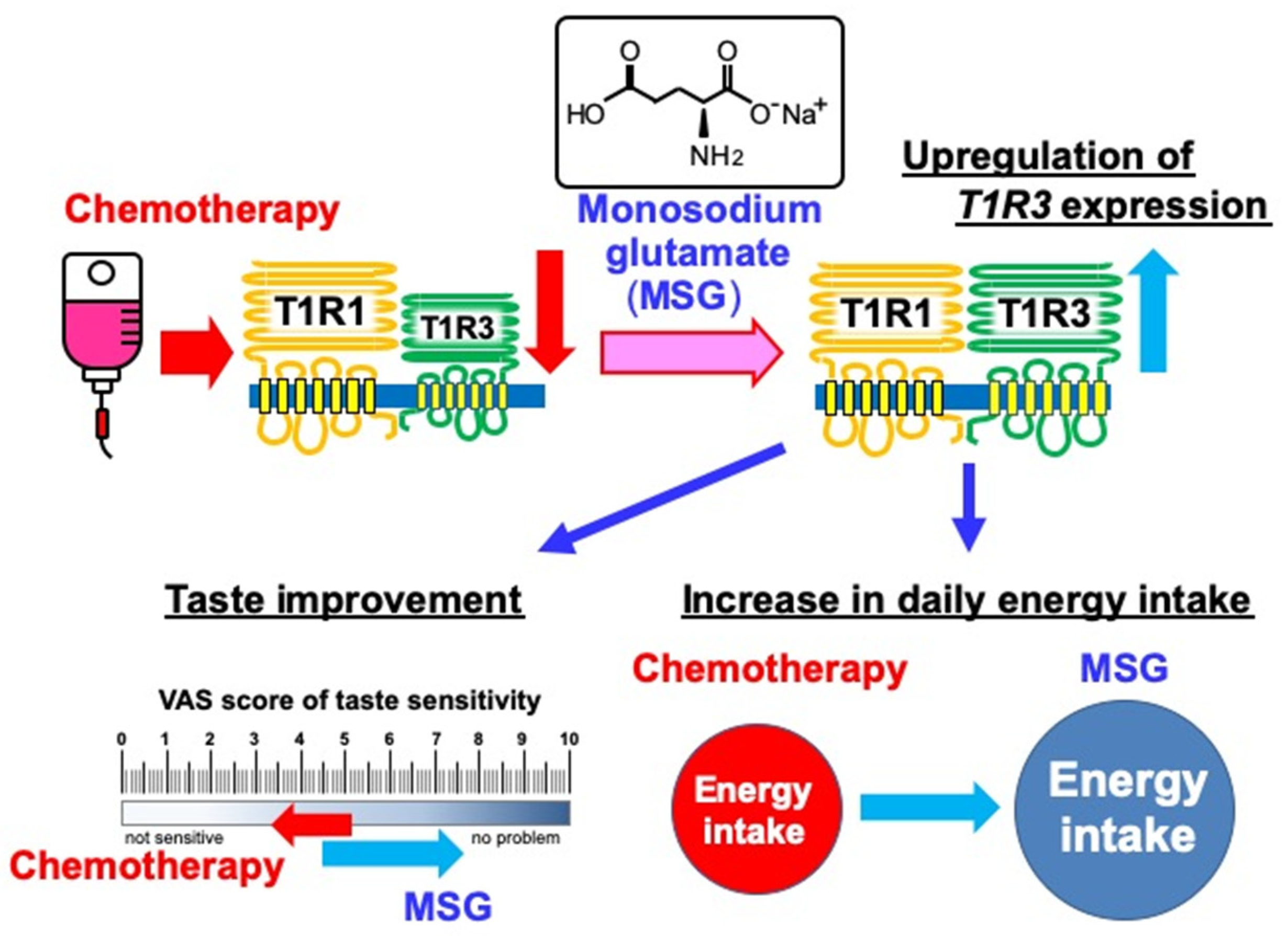 Nutrients 13 02921 g006