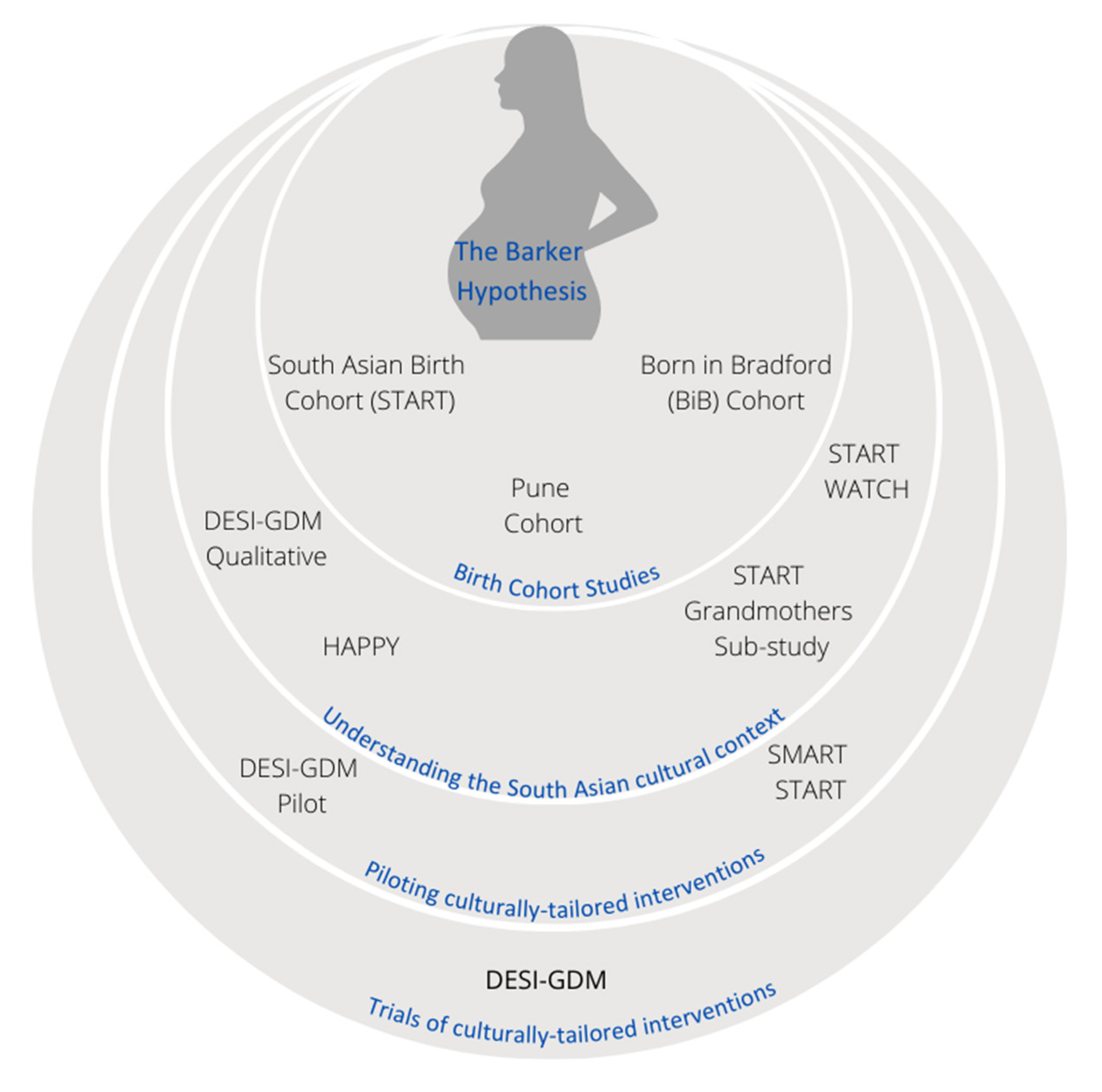 Nutrients 13 02932 g001 Nutrients 13 02932 g001