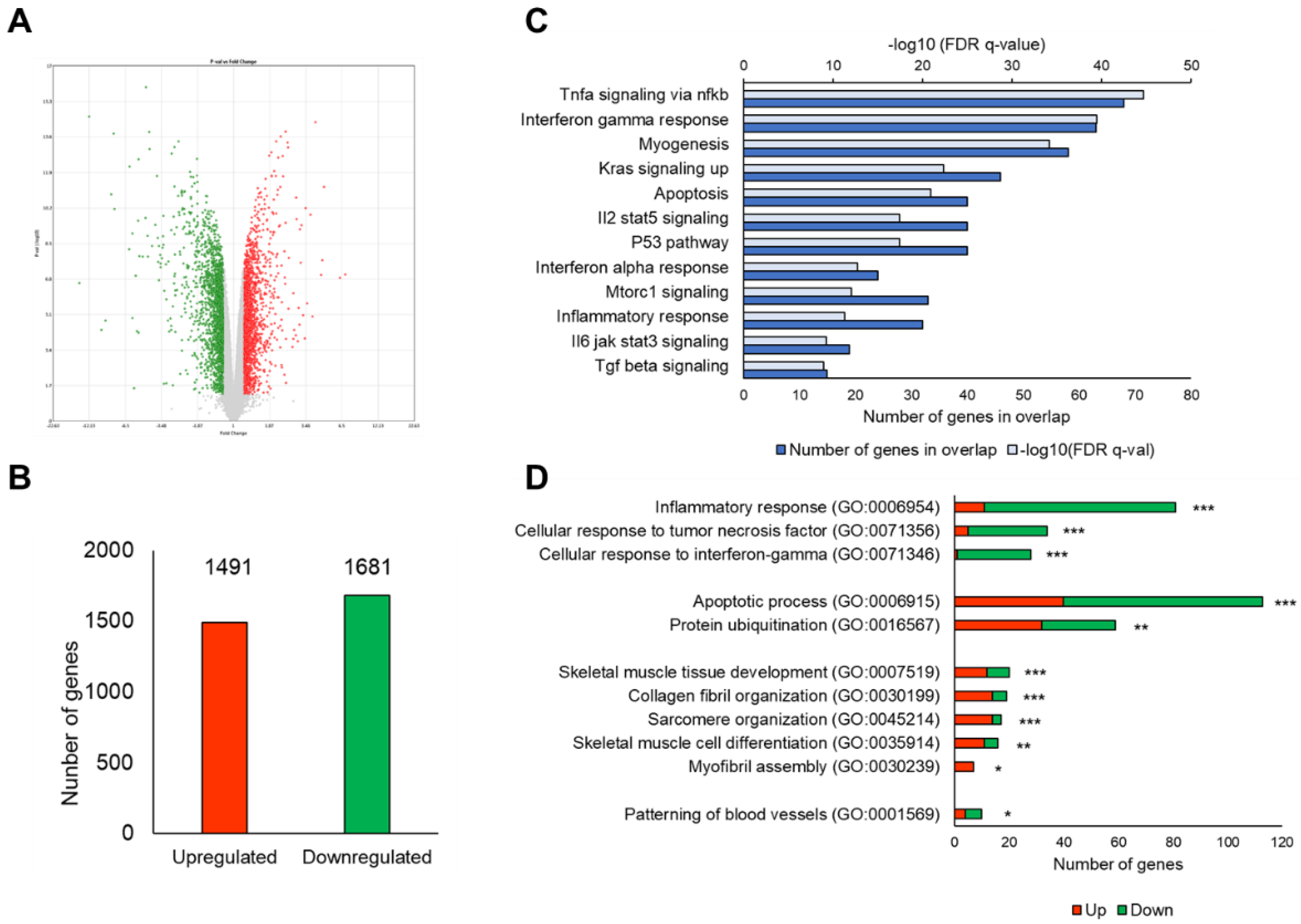 Nutrients 13 02950 g002