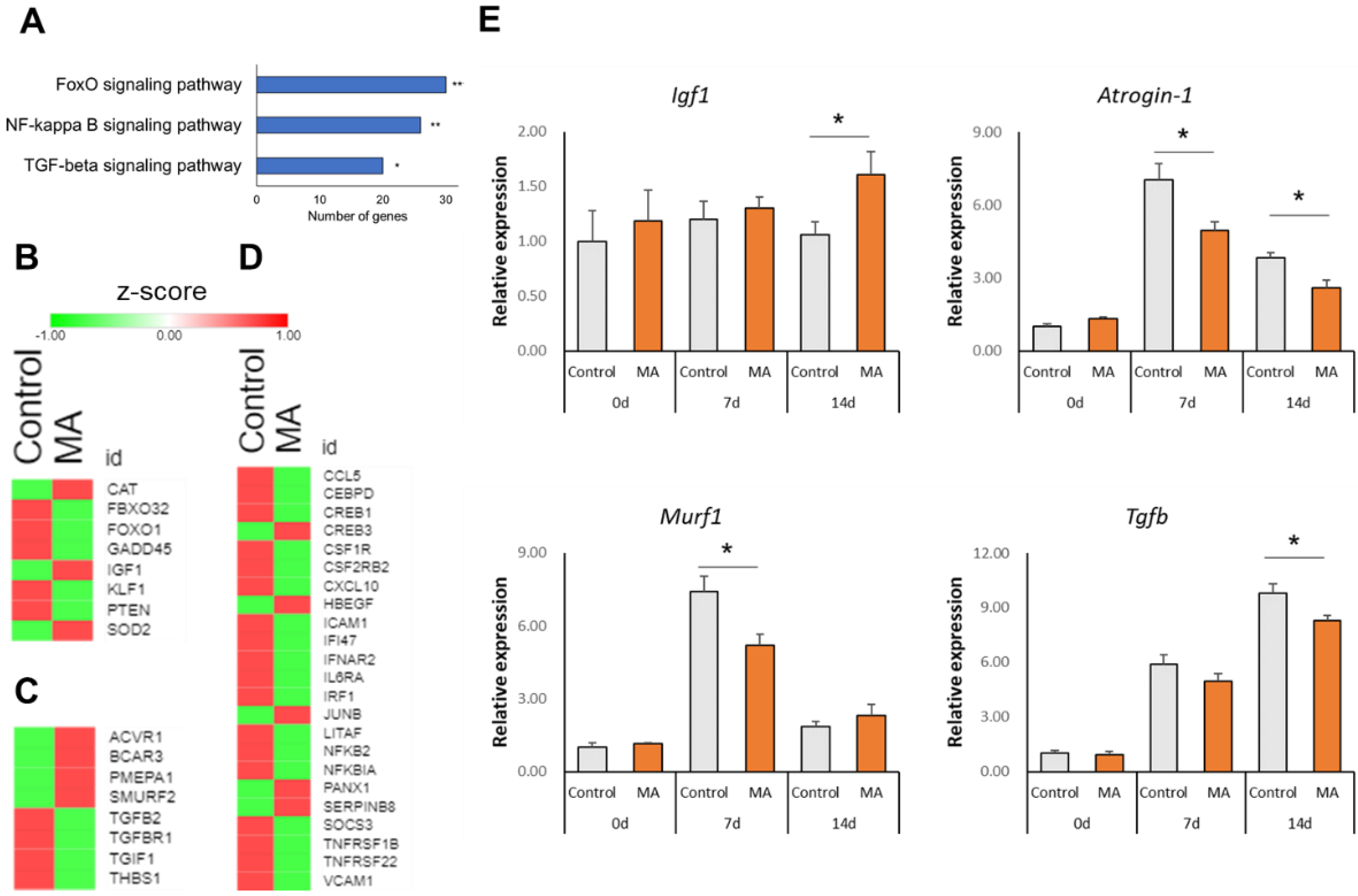 Nutrients 13 02950 g003