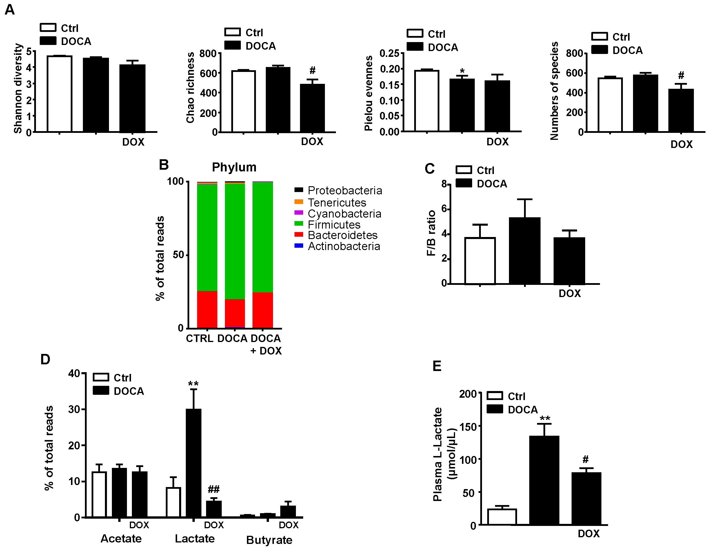Nutrients 13 02971 g002 Nutrients 13 02971 g002