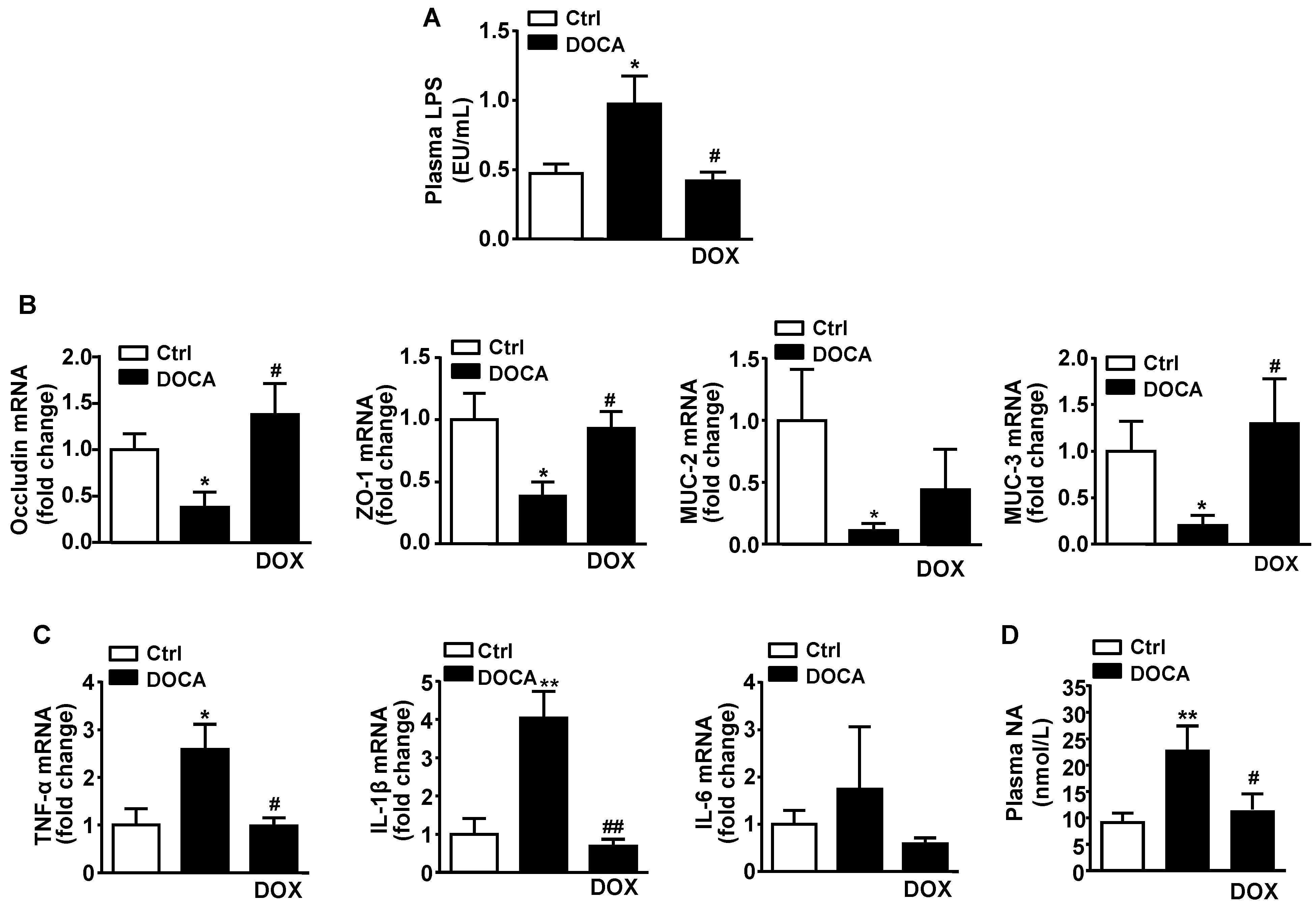 Nutrients 13 02971 g004 Nutrients 13 02971 g004