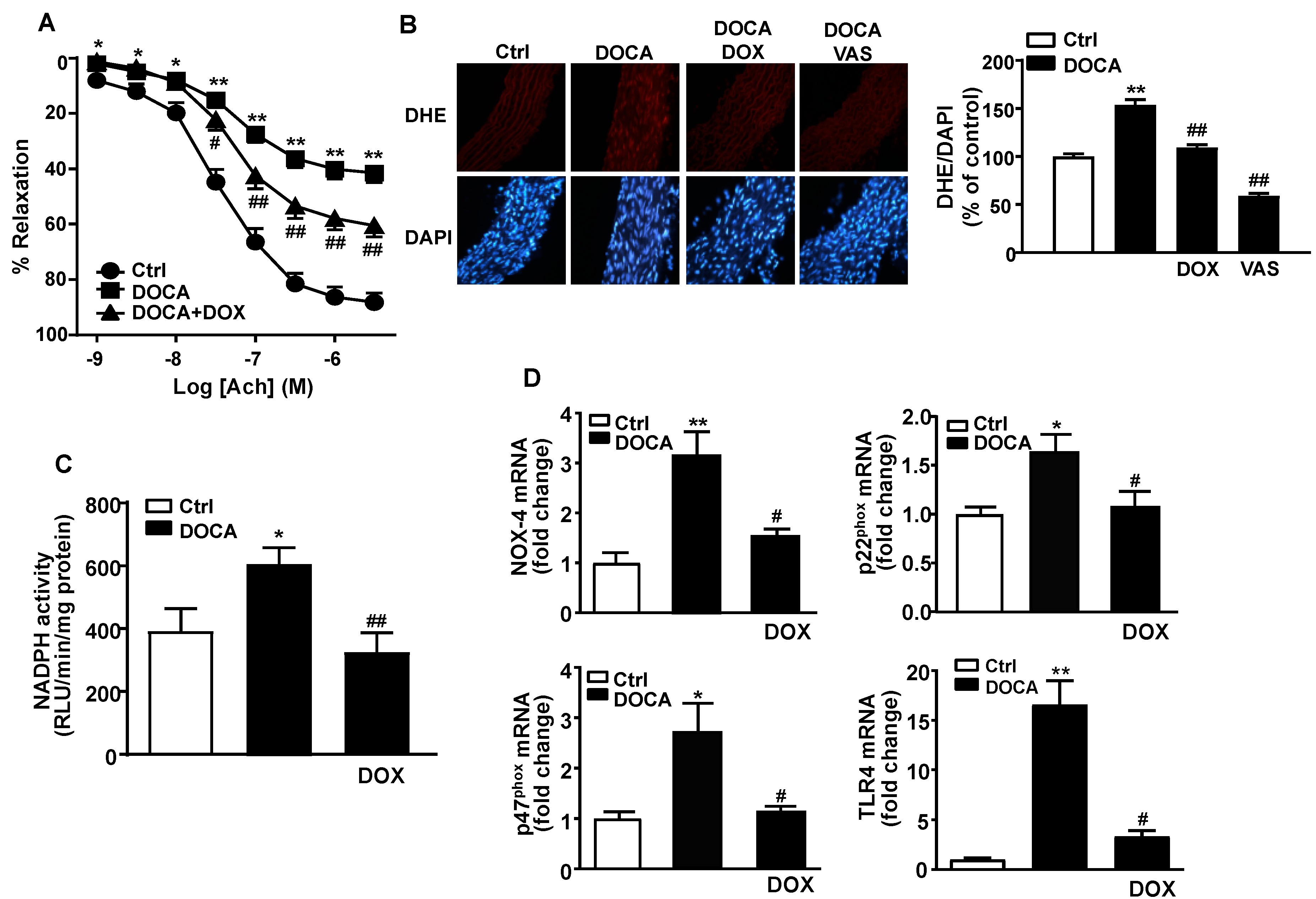 Nutrients 13 02971 g005 Nutrients 13 02971 g005